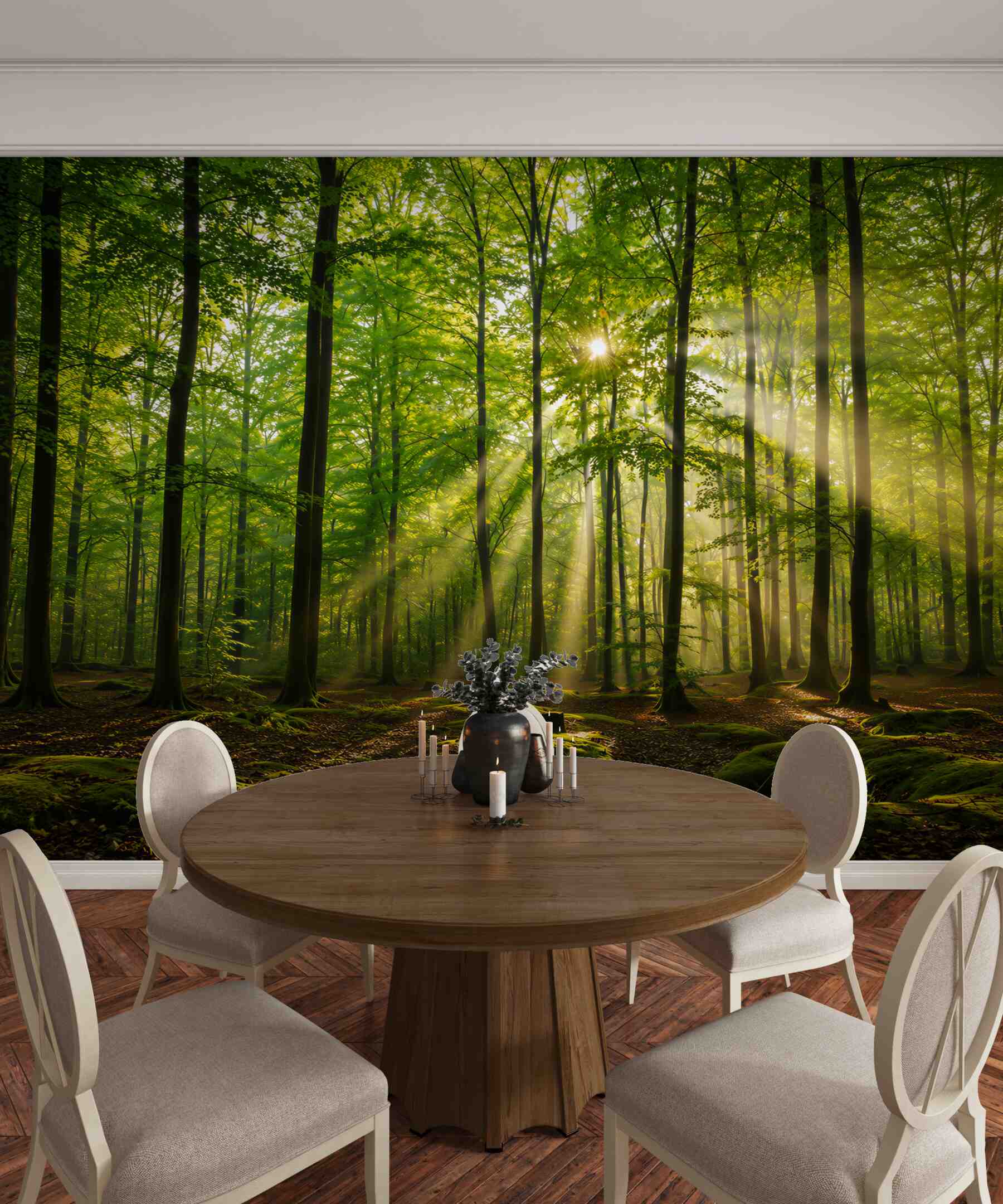 Fototapeta promienie słońca przecinają smukły las?v23
