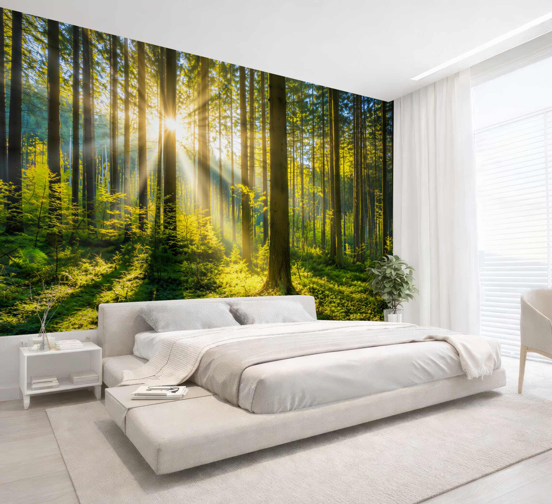 Fototapeta jasne słońce ogrzewa ciemny las?v23