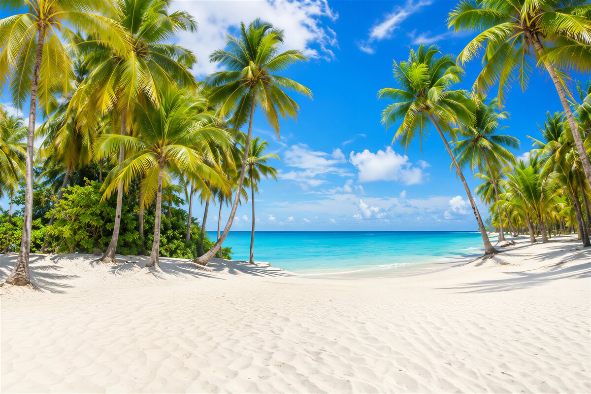 Fototapeta piaszczysta plaża z dostępem do oceanu