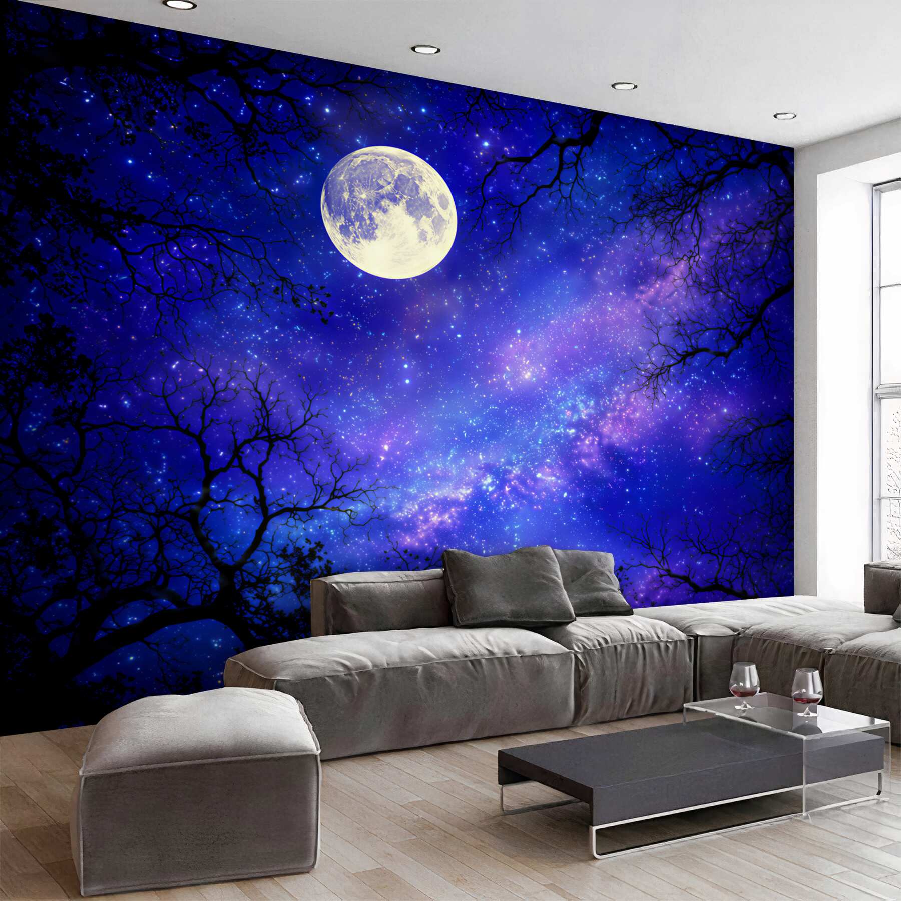Fototapeta nocny jasny księżyc na rozgwieżdżonym niebie?v23