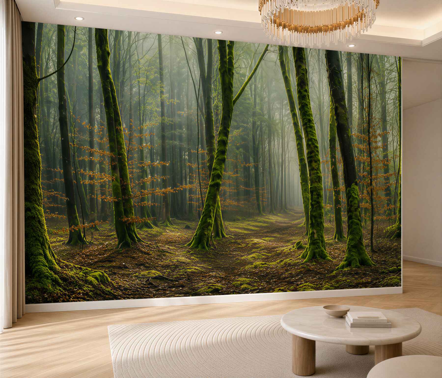 Fototapeta zielony las ze ścieżką w promieniach słońca