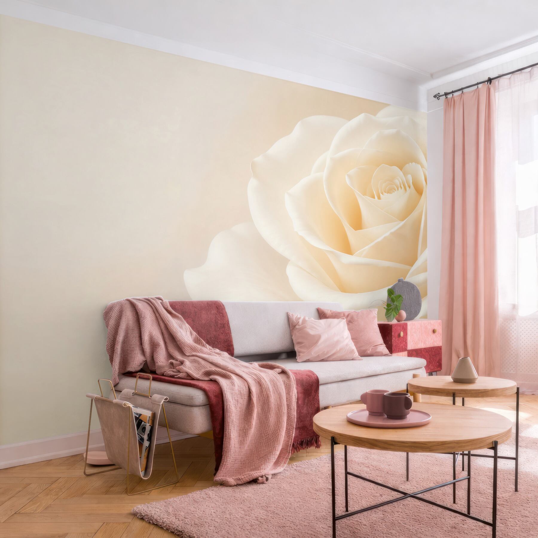 Fototapeta kremowa róża w zbliżeniu subtelna i elegancka?v23