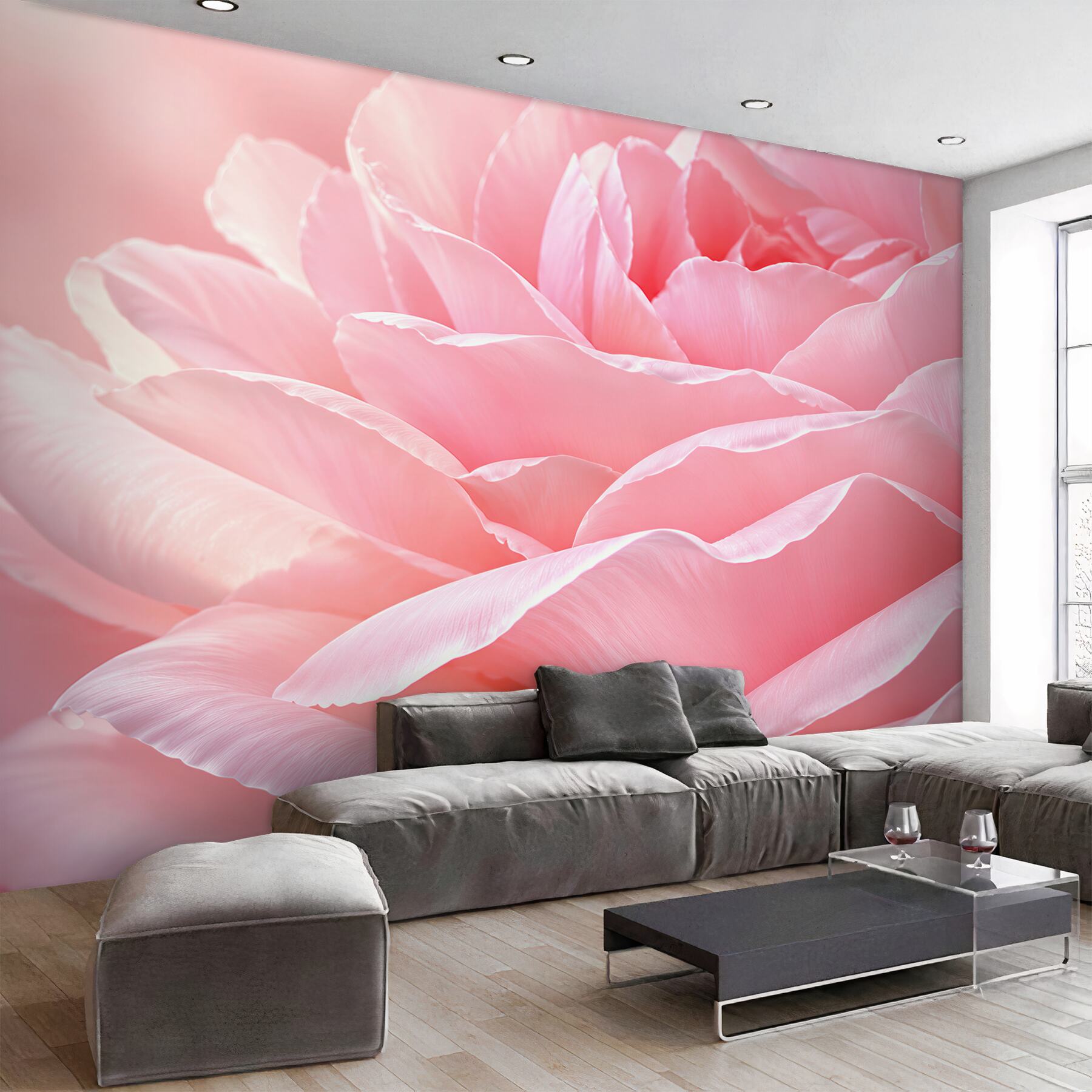 Fototapeta różowe płatki róży makro subtelna do sypialni?v23