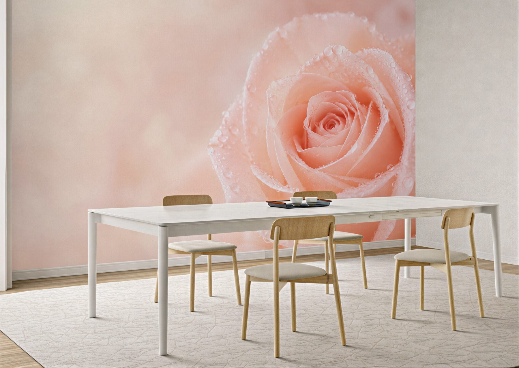 Fototapeta róża pudrowa z kroplami rosy romantyczna?v23