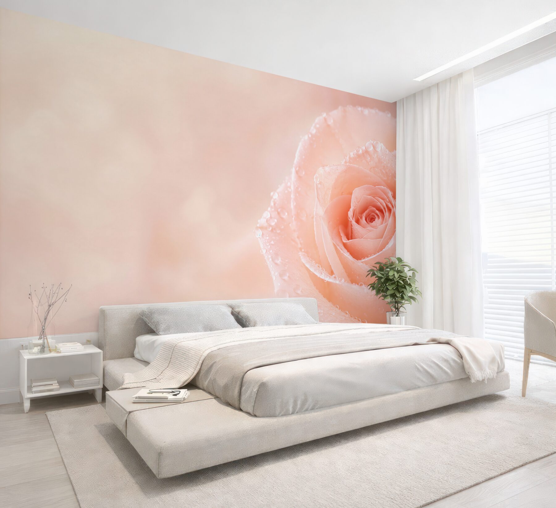 Fototapeta róża pudrowa z kroplami rosy romantyczna?v23
