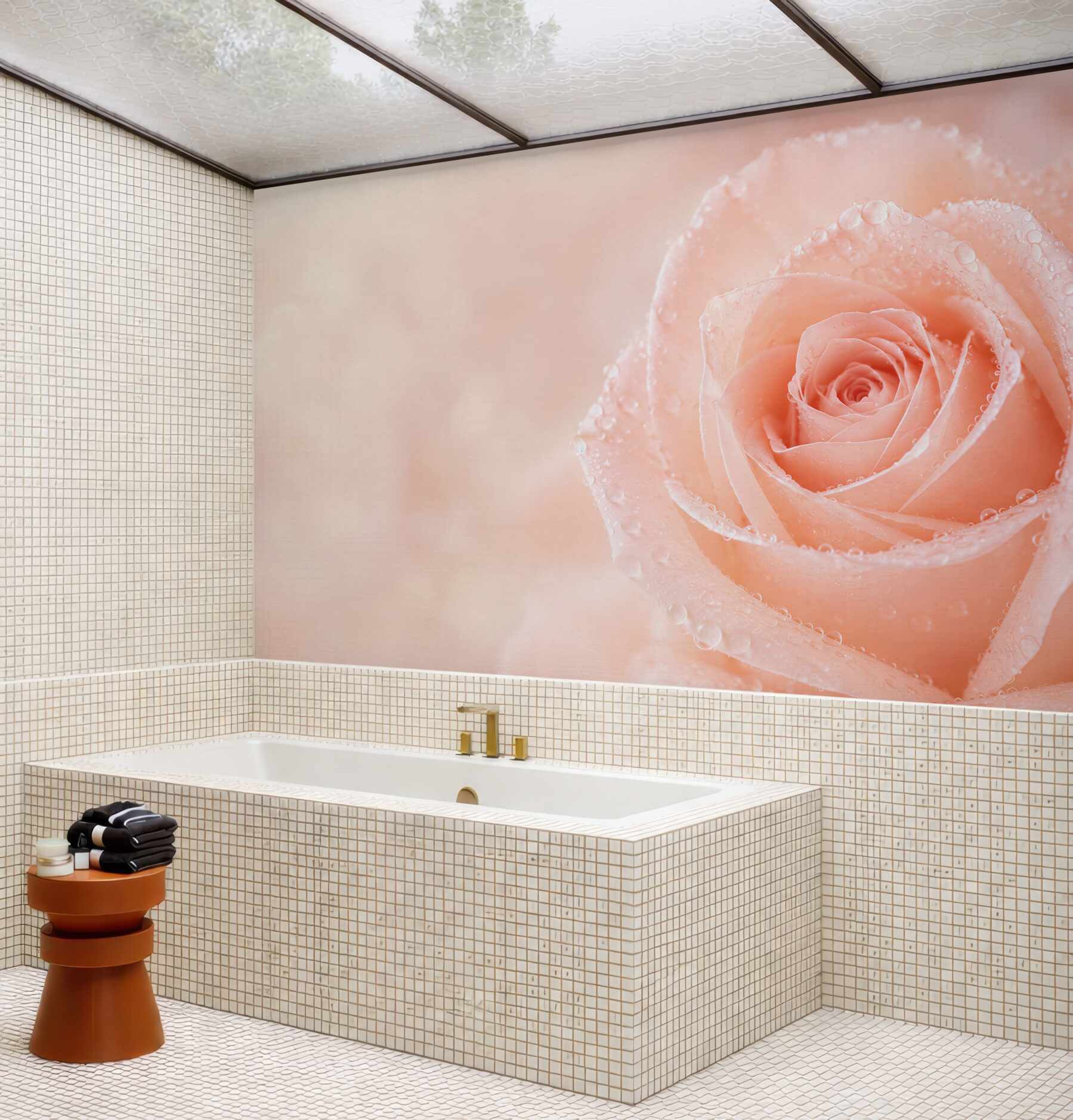 Fototapeta róża pudrowa z kroplami rosy romantyczna?v23