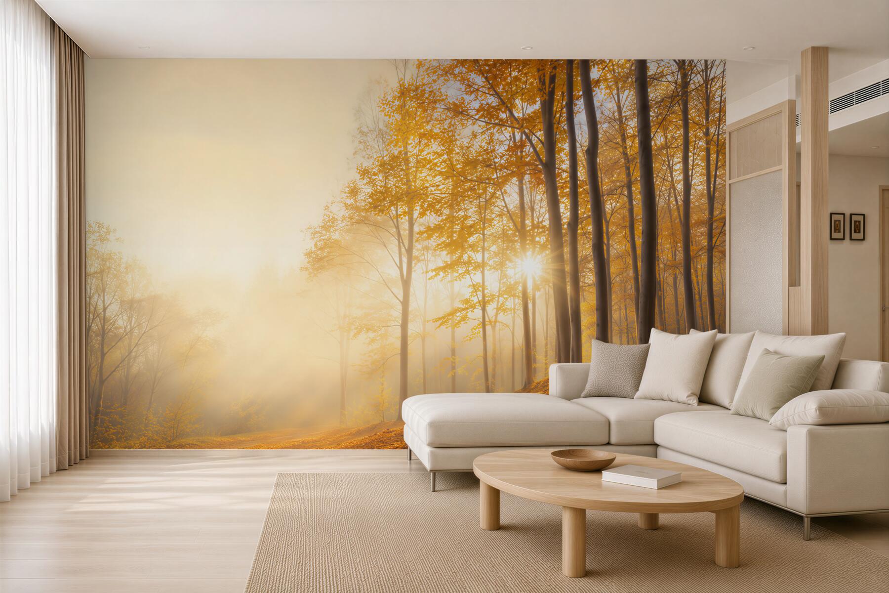 Fototapeta jesienny las ze słońcem i złotymi liśćmi ciepła naturalna?v23