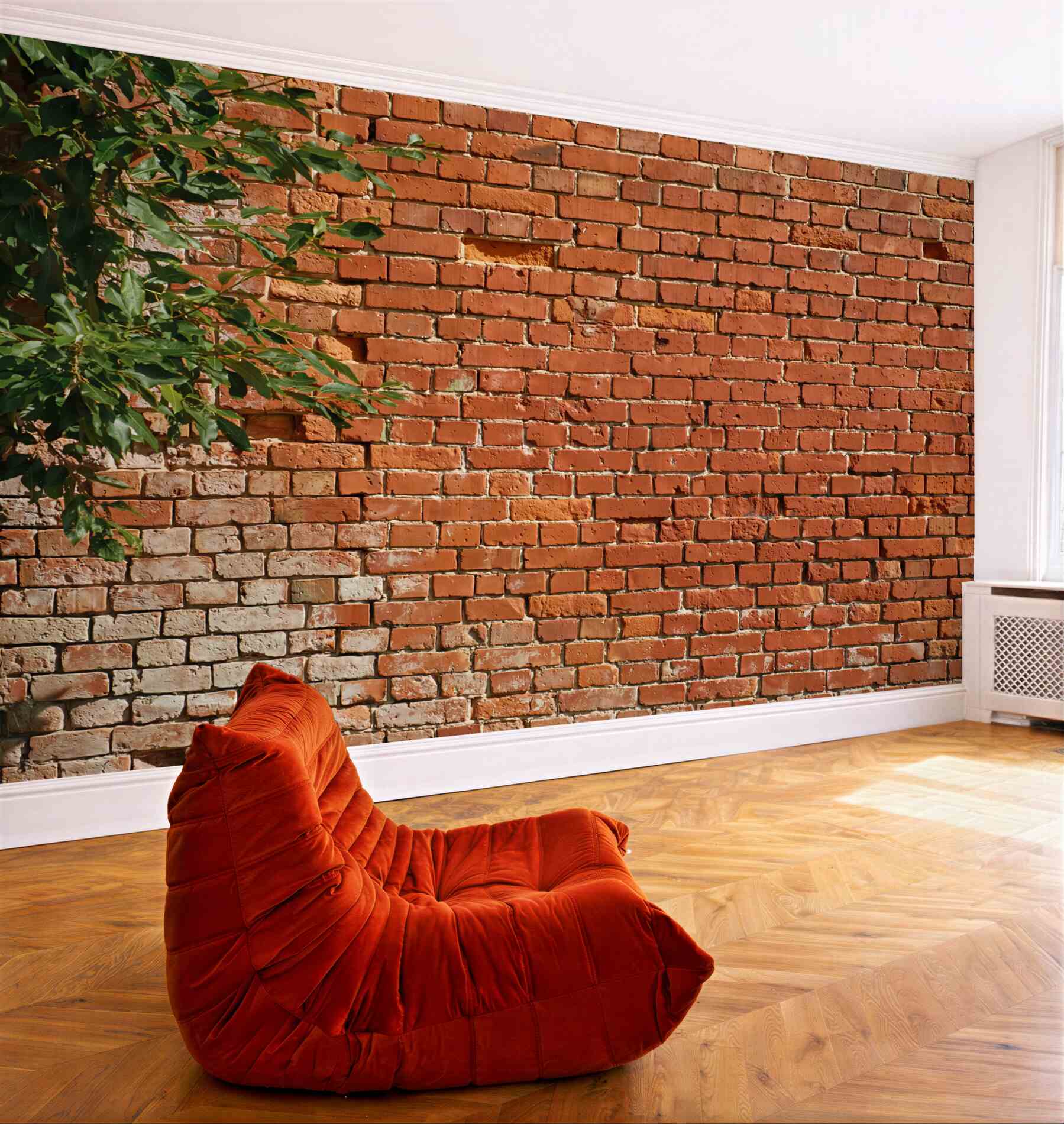 Fototapeta gałąź drzewa obok ceglanego muru?v23