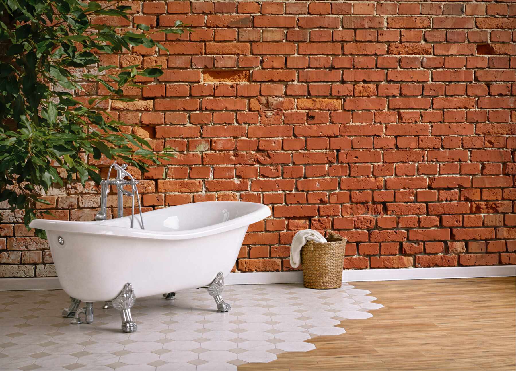 Fototapeta gałąź drzewa obok ceglanego muru?v23