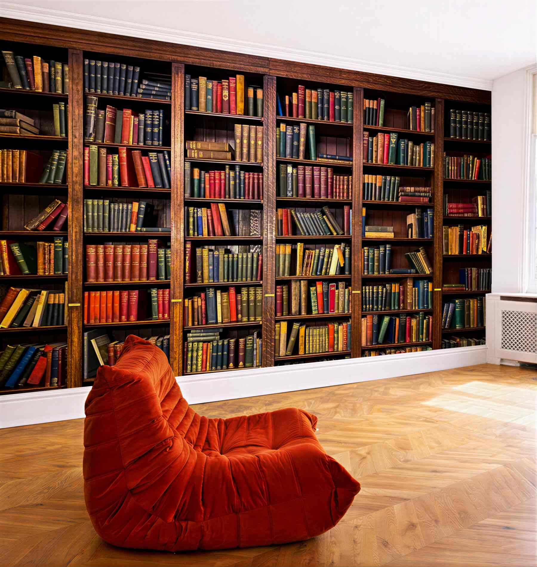 Fototapeta zarezerwuj dużą bibliotekę?v23