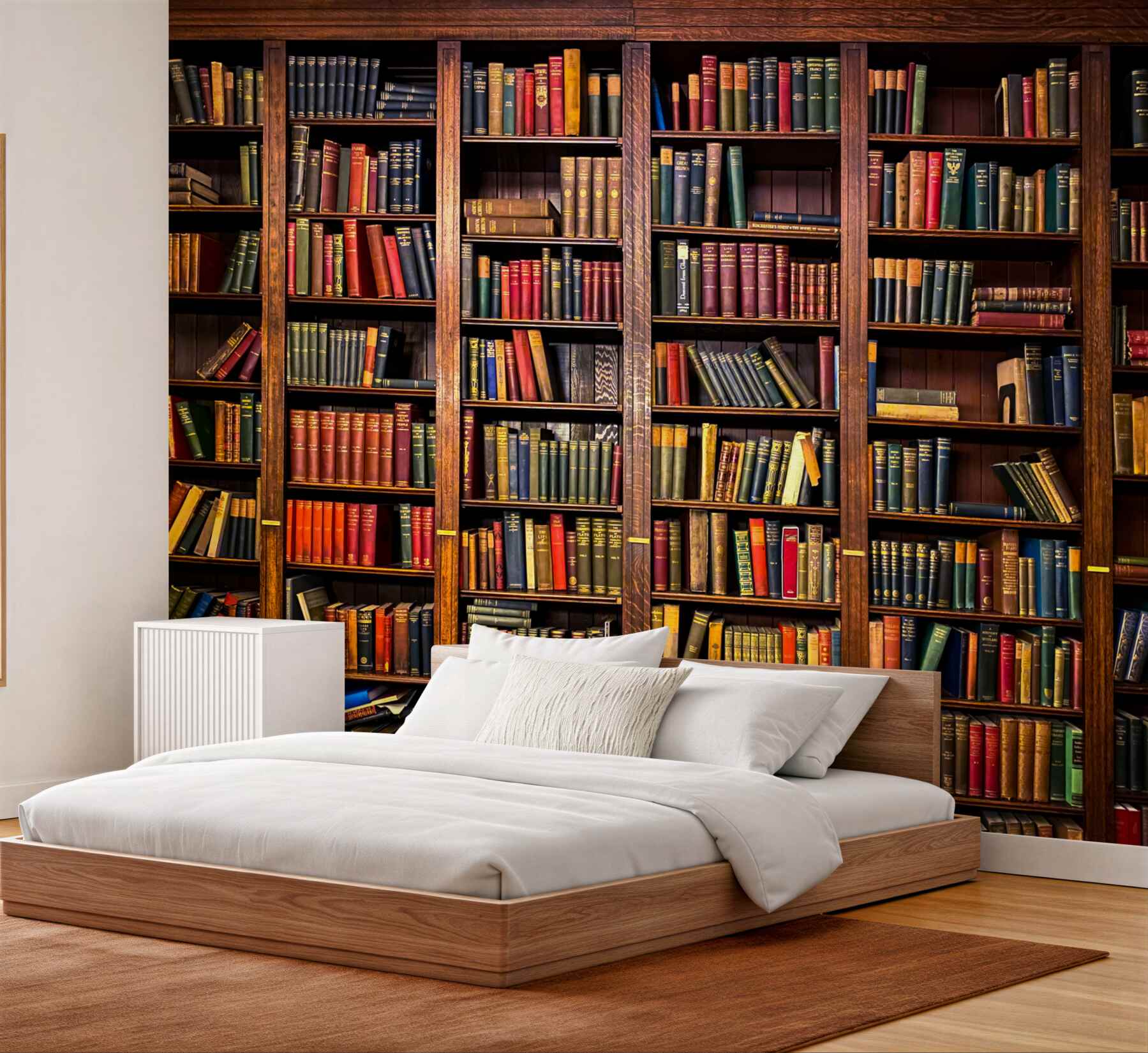Fototapeta zarezerwuj dużą bibliotekę?v23