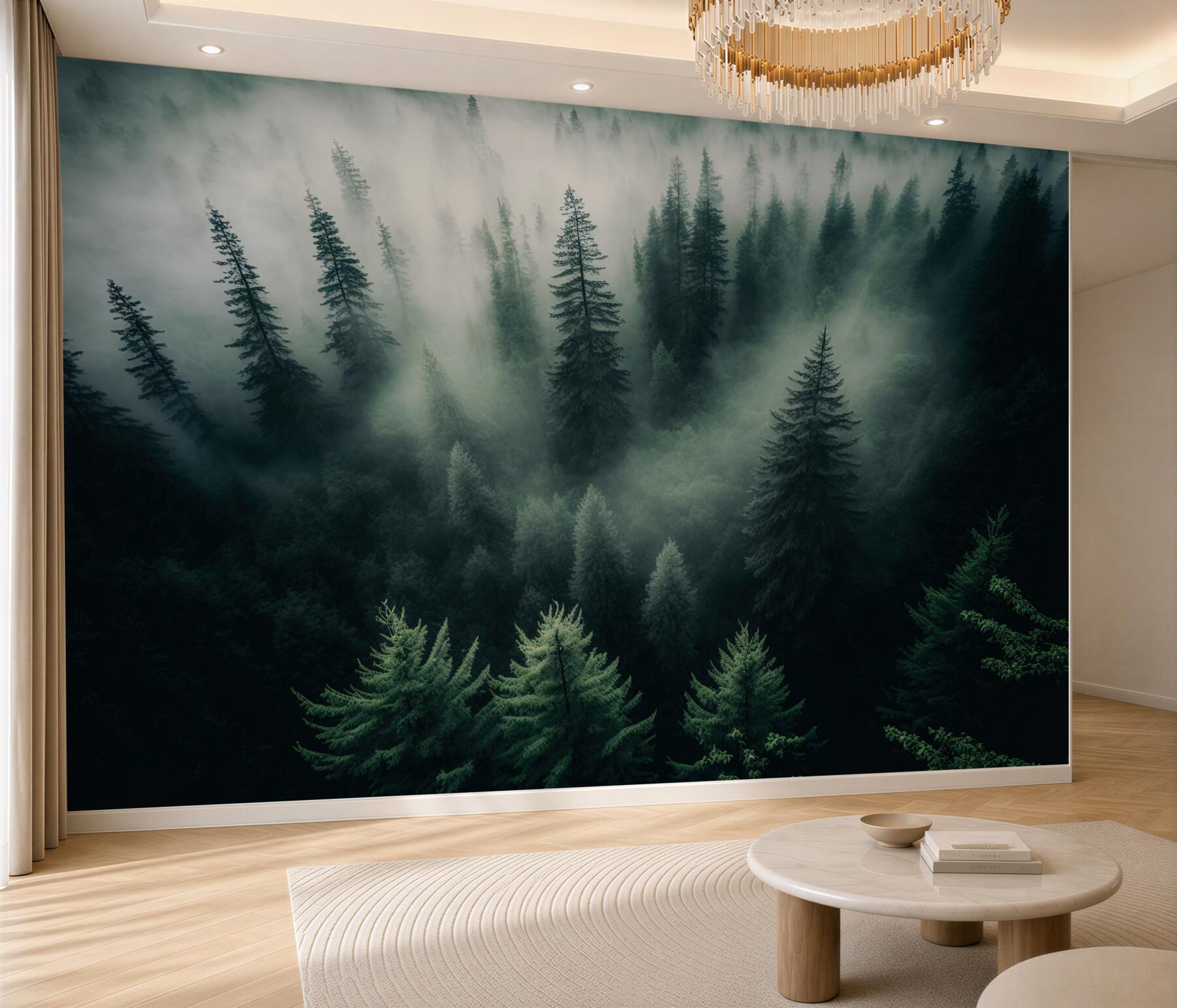 Fototapeta mgła w nocnym lesie iglastym?v23