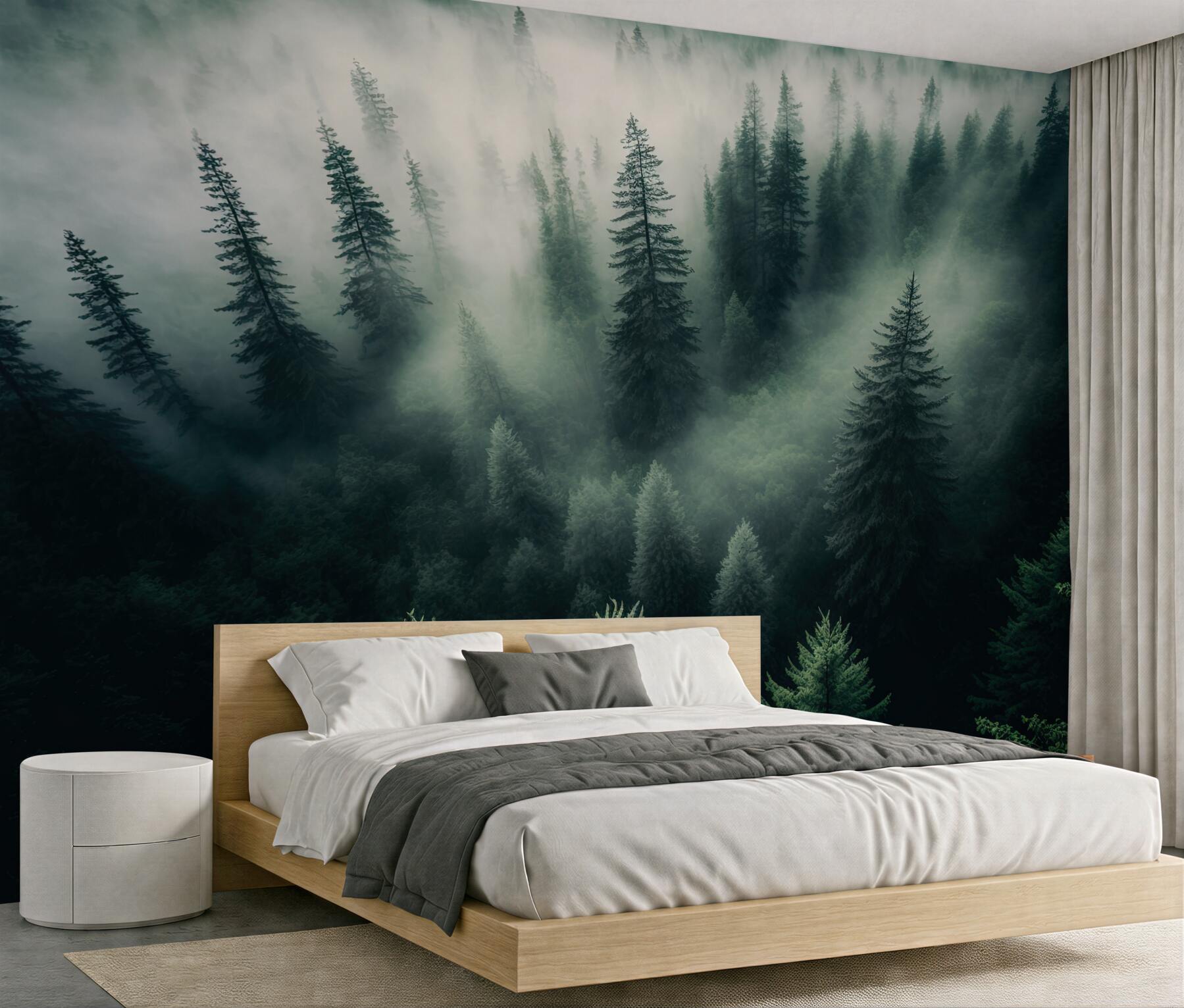 Fototapeta mgła w nocnym lesie iglastym?v23