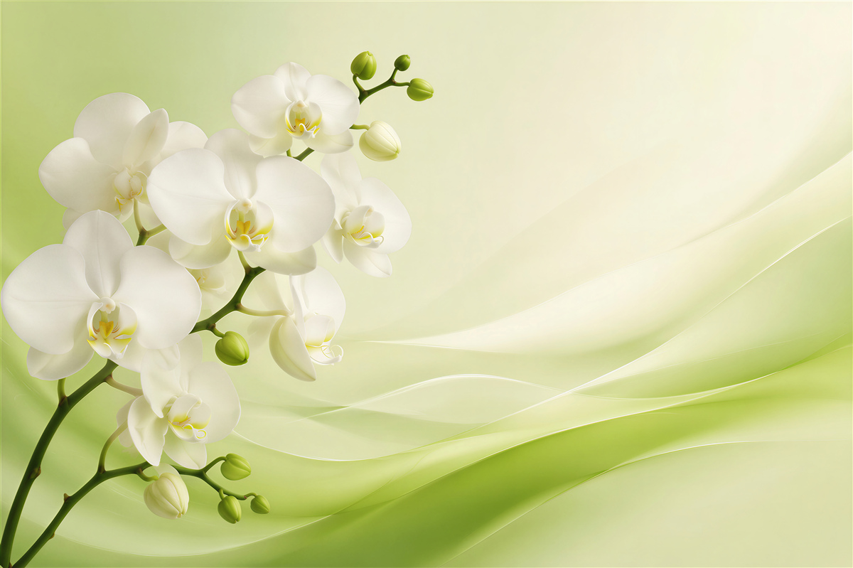 Fototapeta białe orchidee na gałęzi na zielonym tle