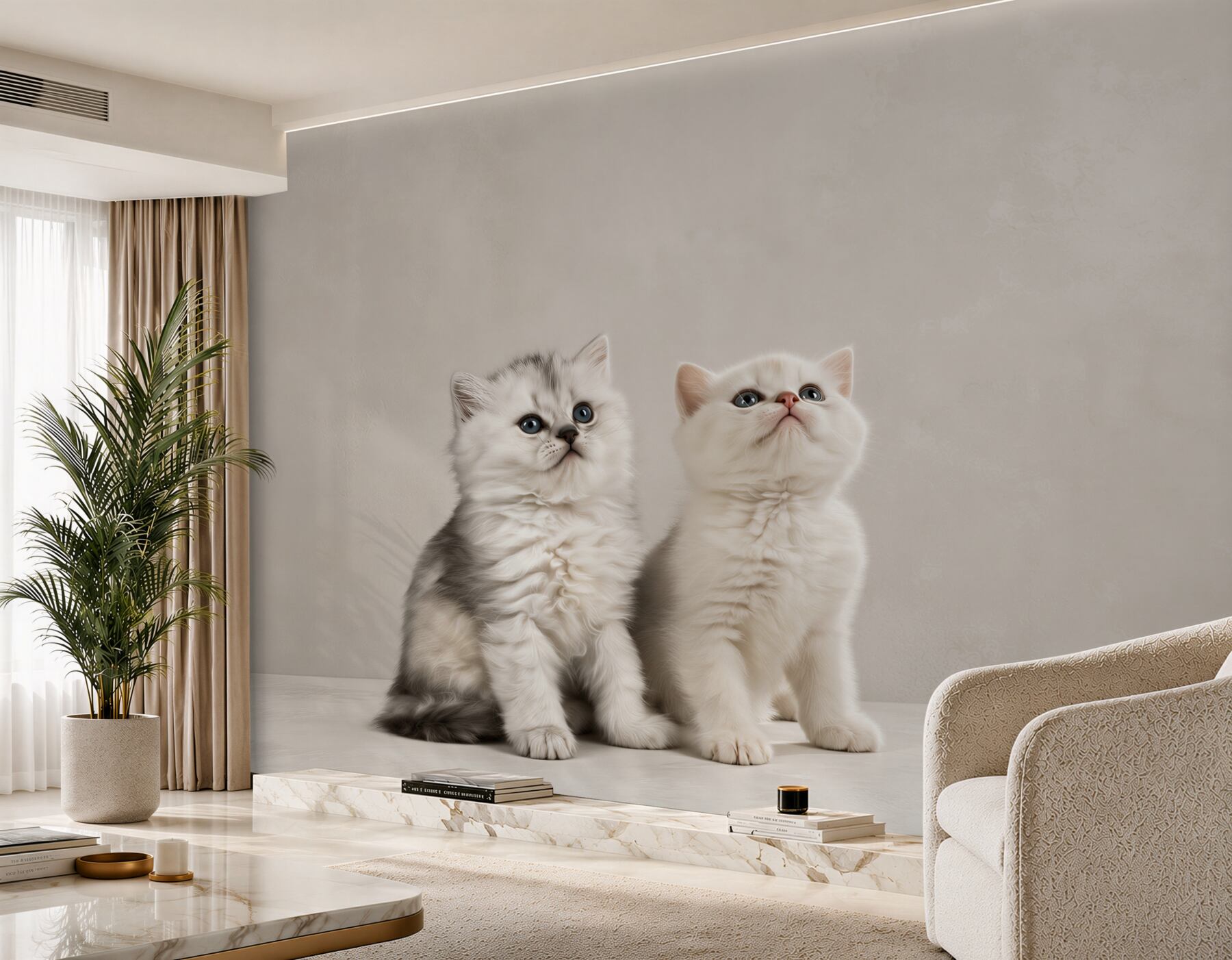 Fototapeta kilka kotów obserwuje?v23