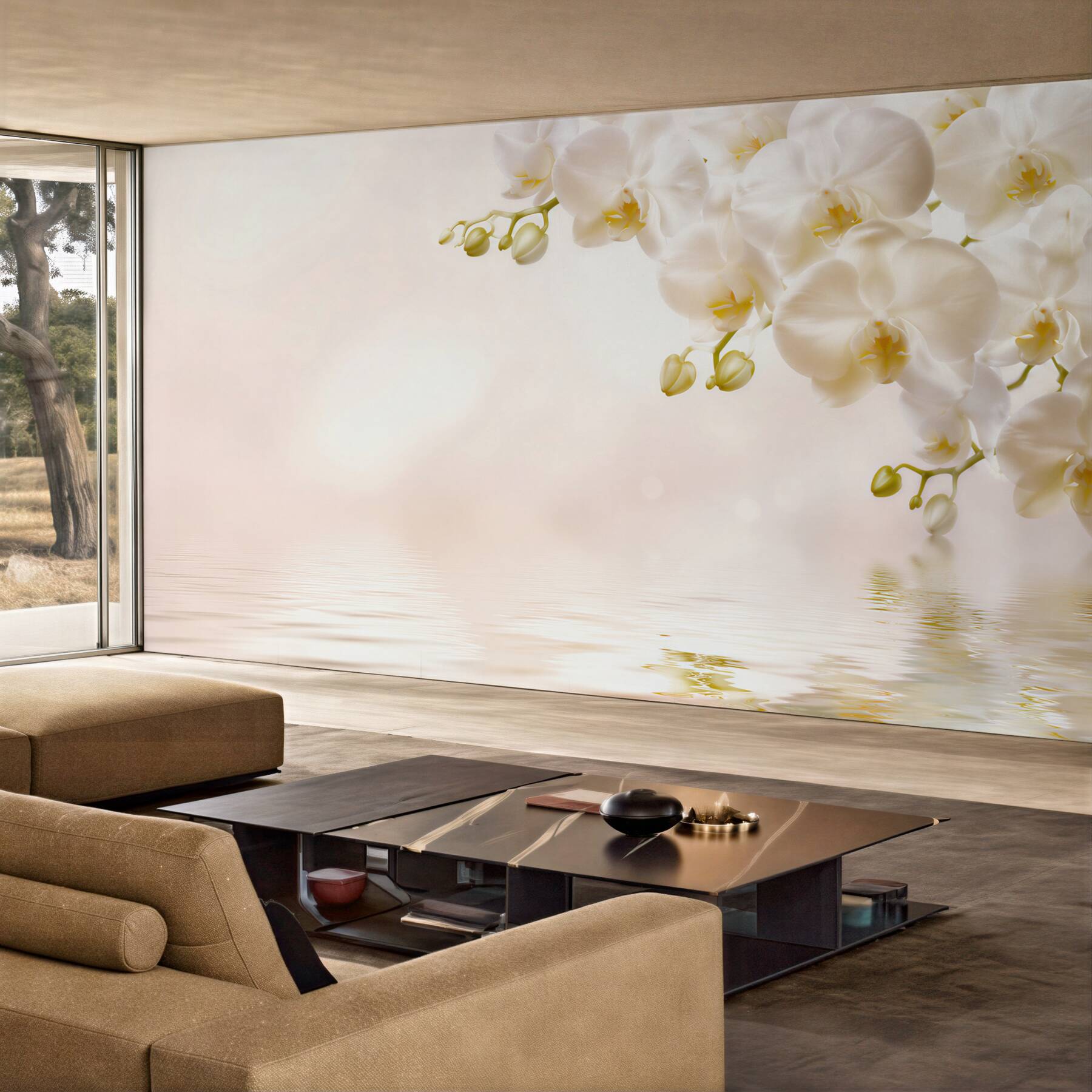 Fototapeta śnieżnobiałe kwiaty orchidei o świcie?v23