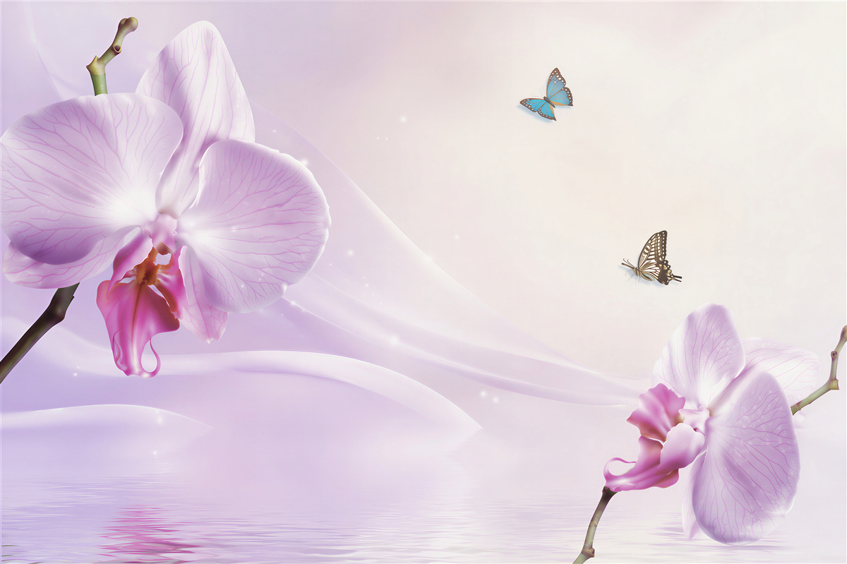 Fototapeta liliowe orchidee i motyle na tle geometrycznym