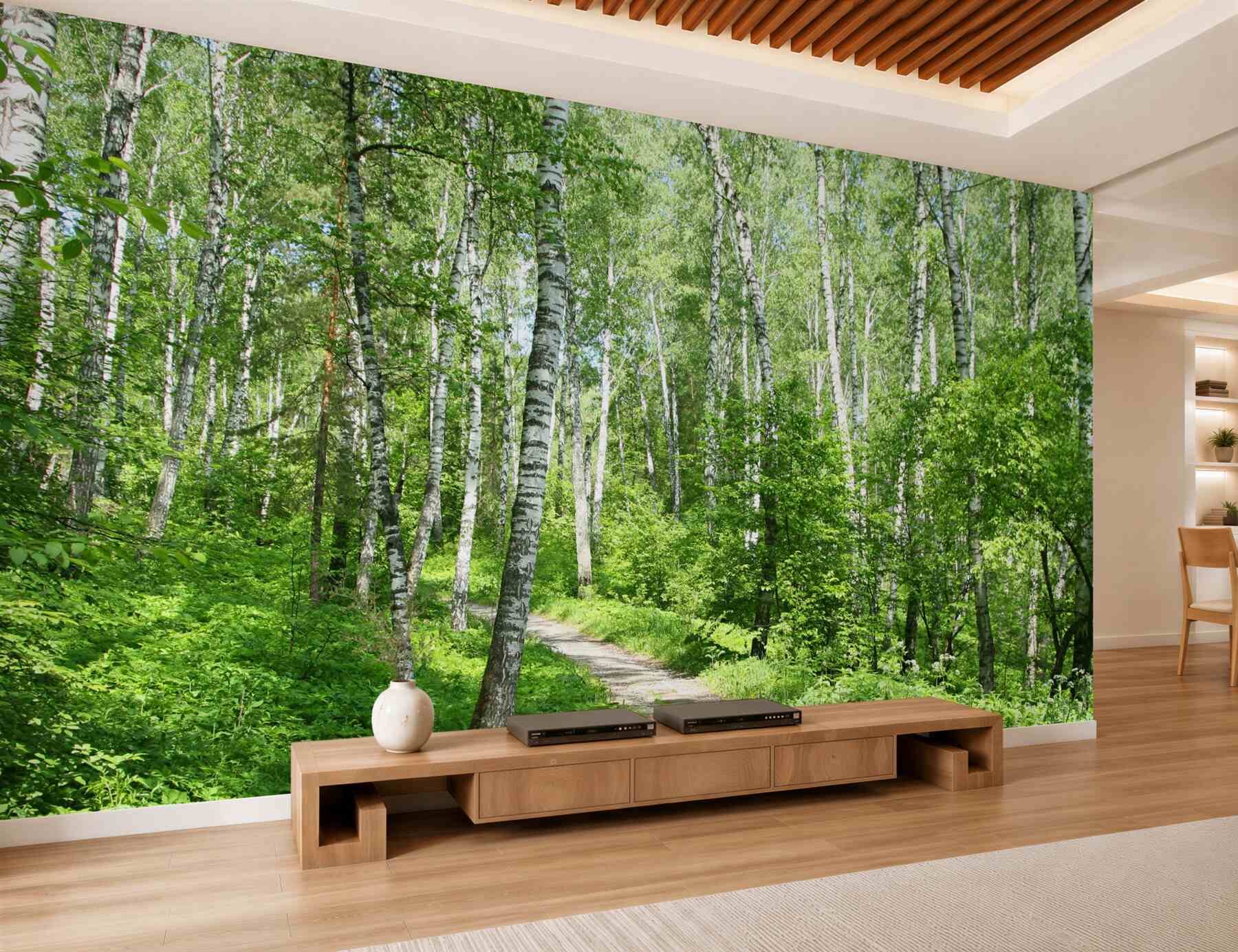 Fototapeta ścieżka w letnim gaju brzozowym