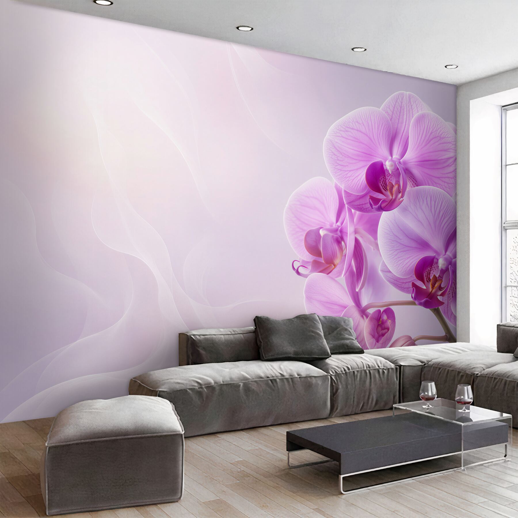 Fototapeta bardzo piękna miękka miękka orchidea?v23