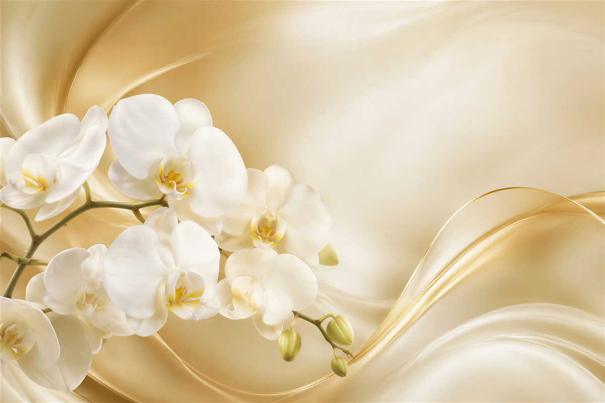 Fototapeta bujne białe orchidee na brązowym jedwabiu