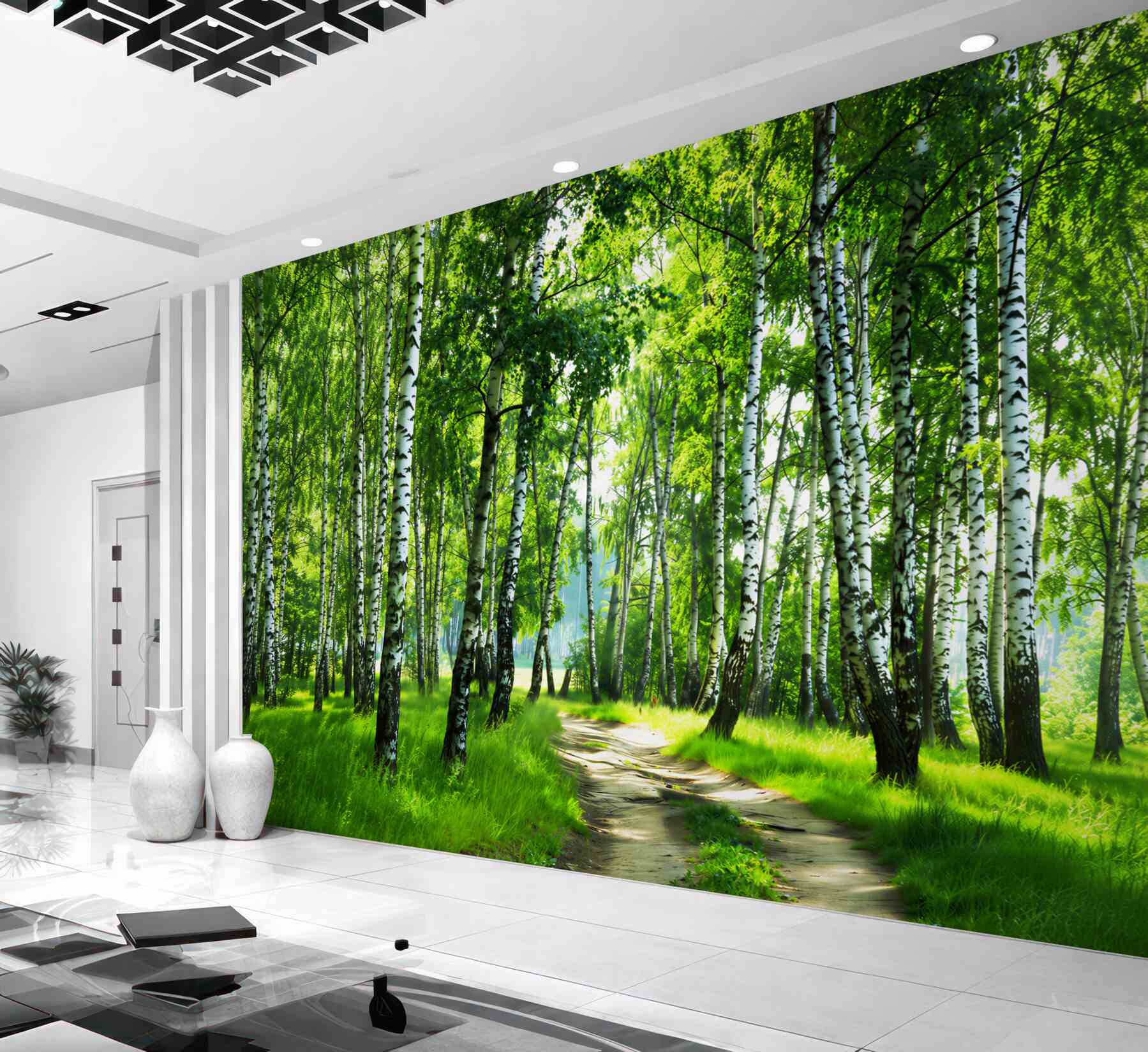 Fototapeta ścieżka brzozowa w letni dzień?v23