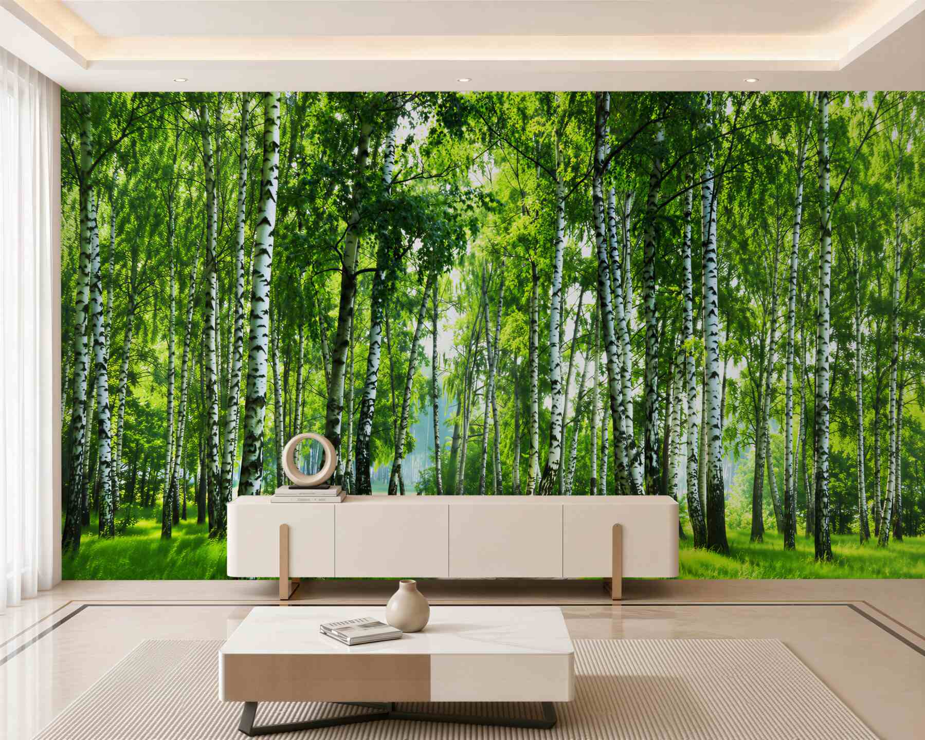 Fototapeta ścieżka brzozowa w letni dzień?v23