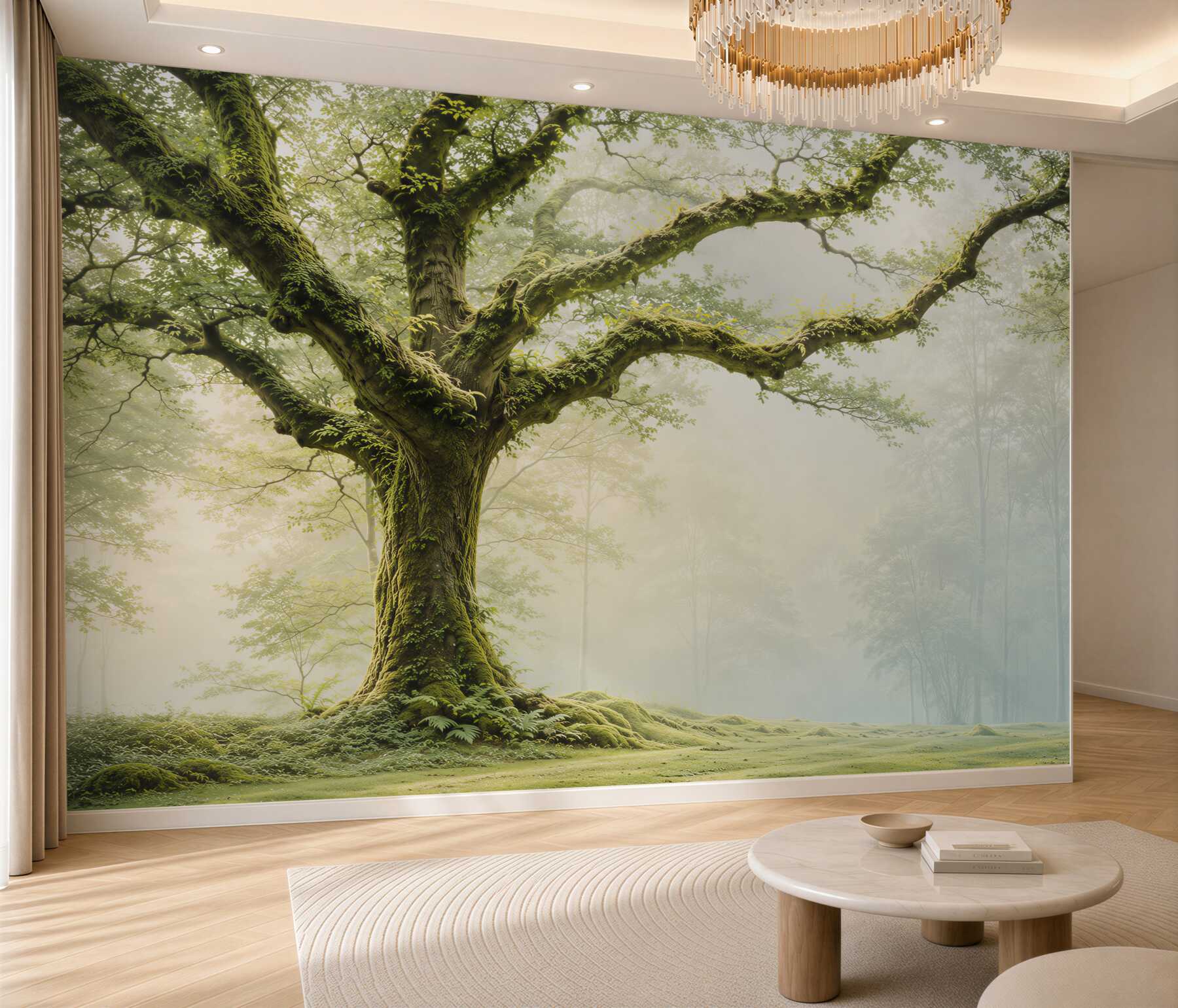 Fototapeta gęsty, stary las porośnięty mchem?v23