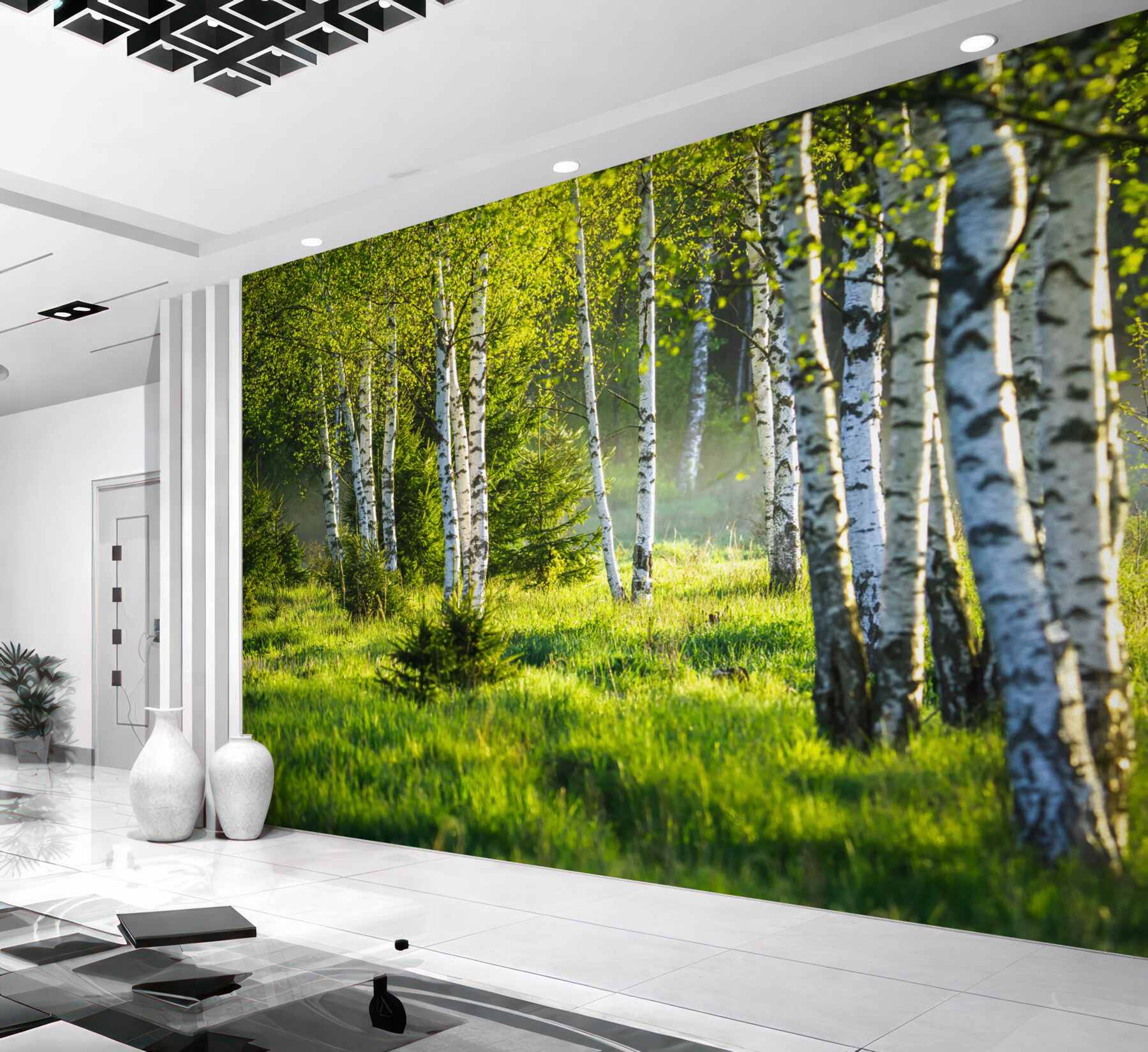 Fototapeta zielone łąki z smukłymi brzozami?v23