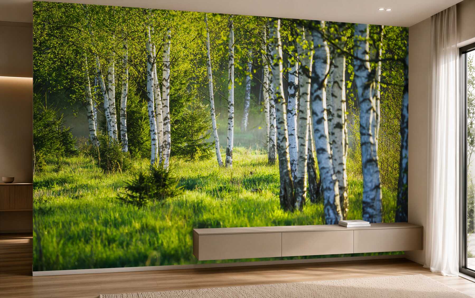 Fototapeta zielone łąki z smukłymi brzozami?v23