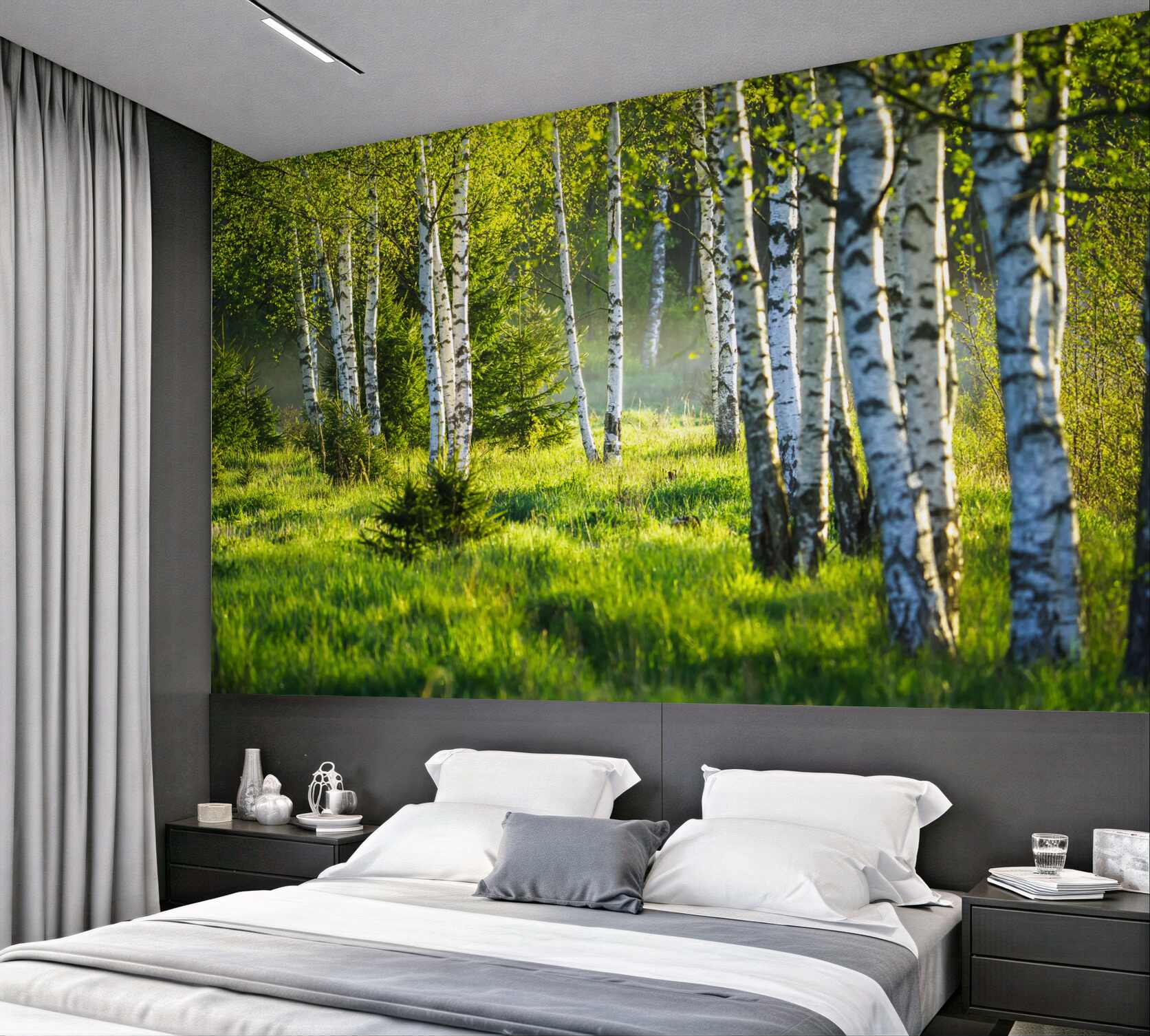 Fototapeta zielone łąki z smukłymi brzozami?v23
