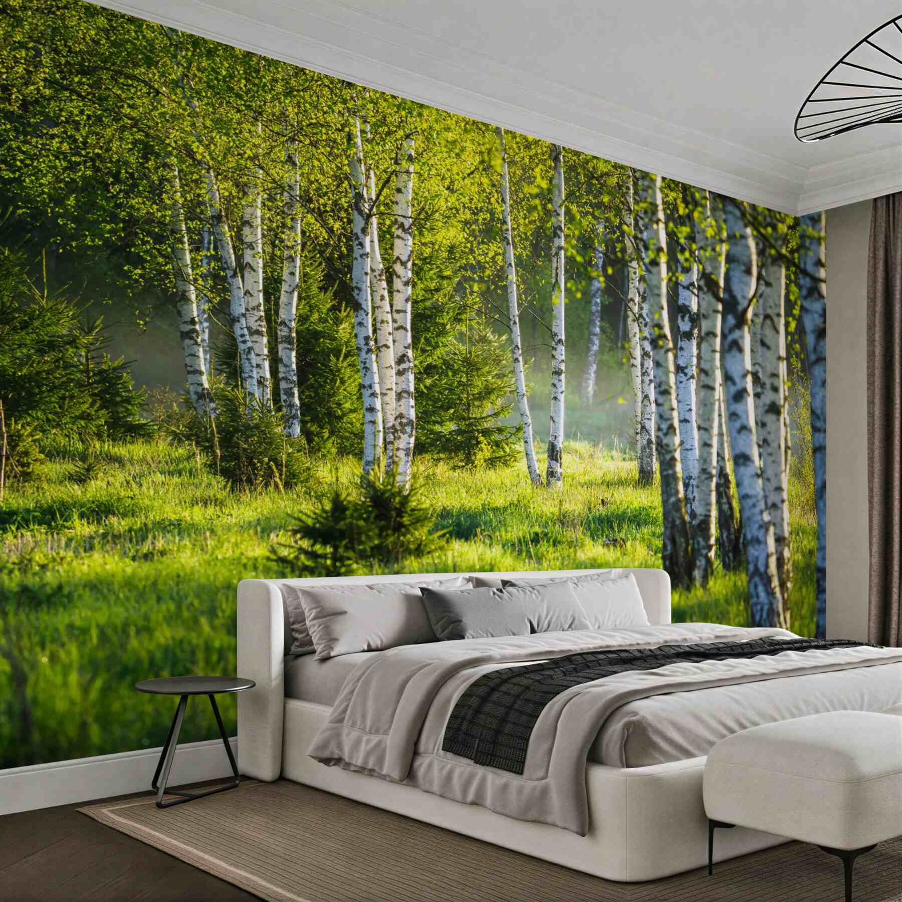 Fototapeta zielone łąki z smukłymi brzozami?v23