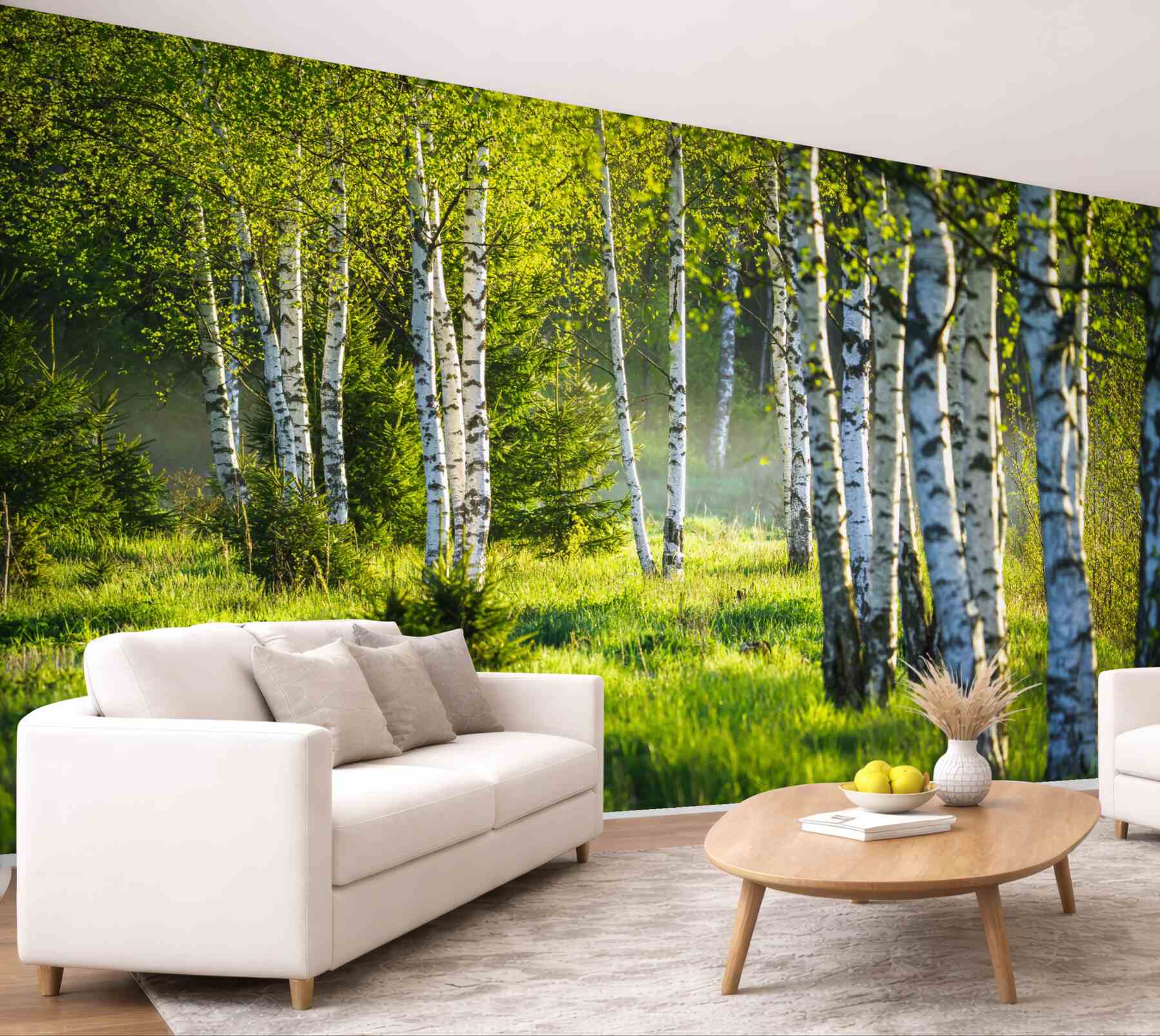 Fototapeta zielone łąki z smukłymi brzozami?v23