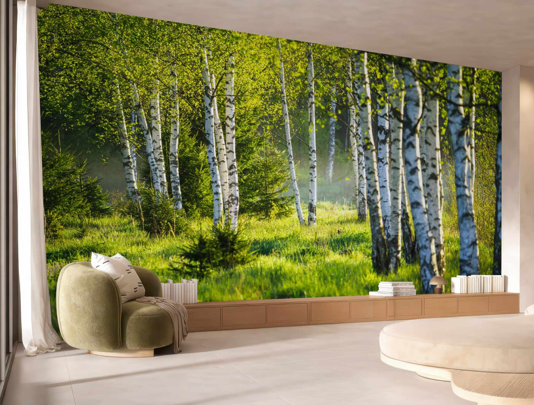 Fototapeta zielone łąki z smukłymi brzozami?v23