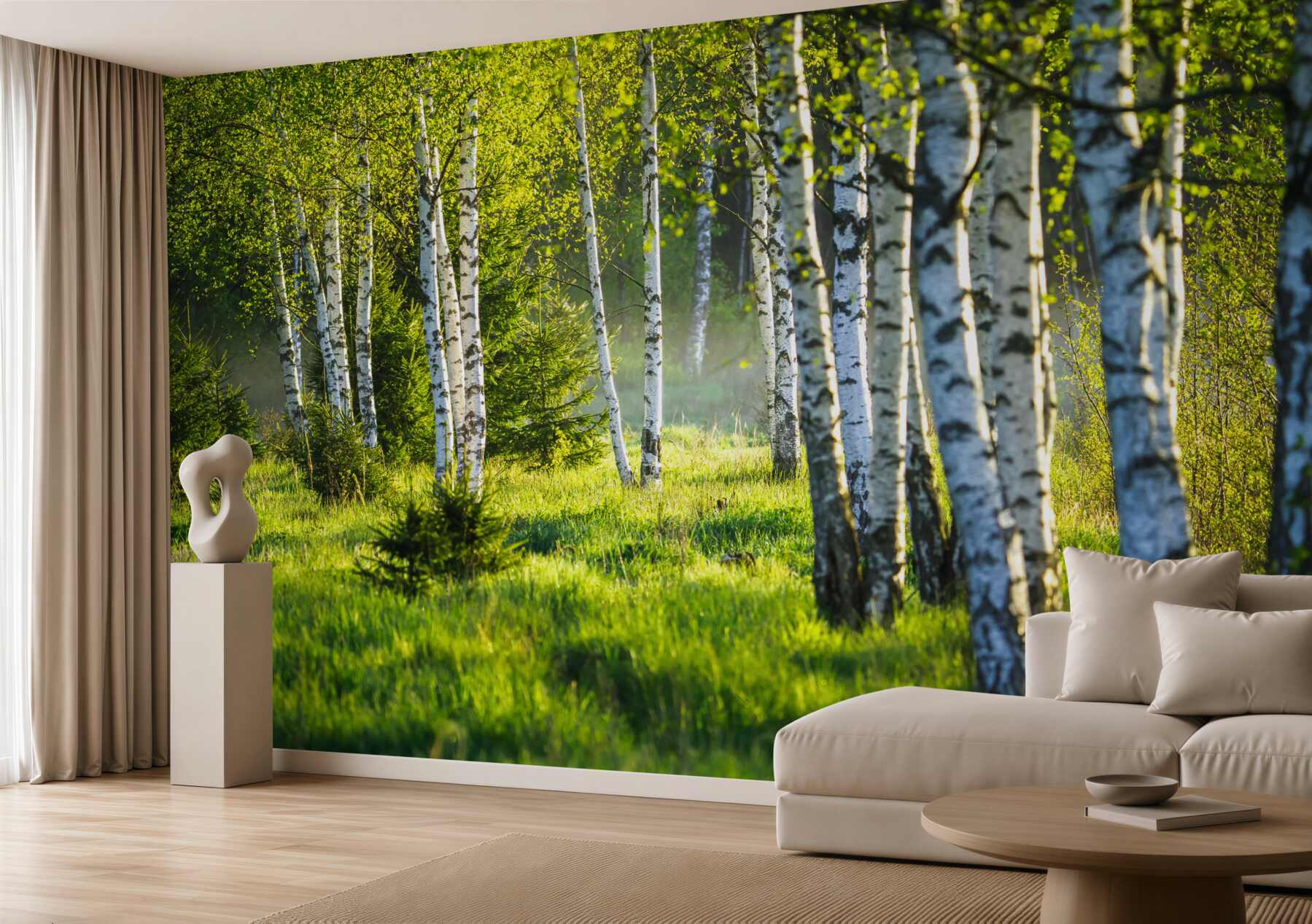 Fototapeta zielone łąki z smukłymi brzozami?v23
