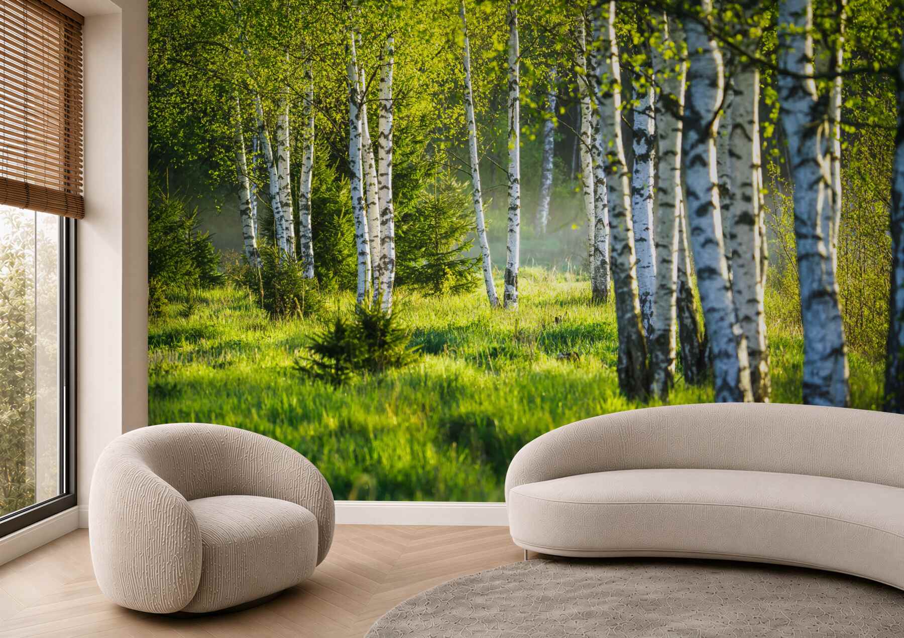 Fototapeta zielone łąki z smukłymi brzozami?v23