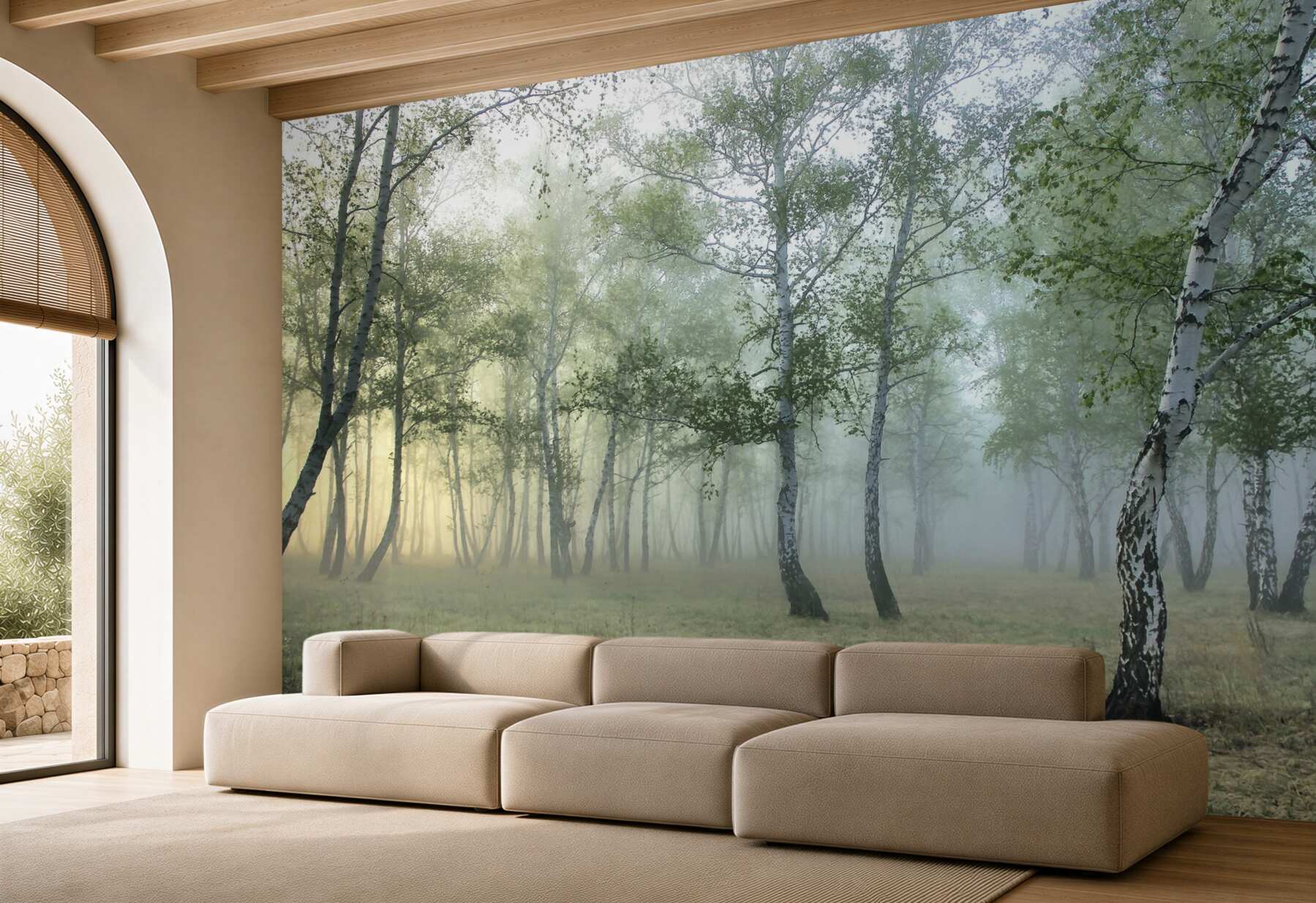 Fototapeta smukłe brzozy w porannej mgle?v23
