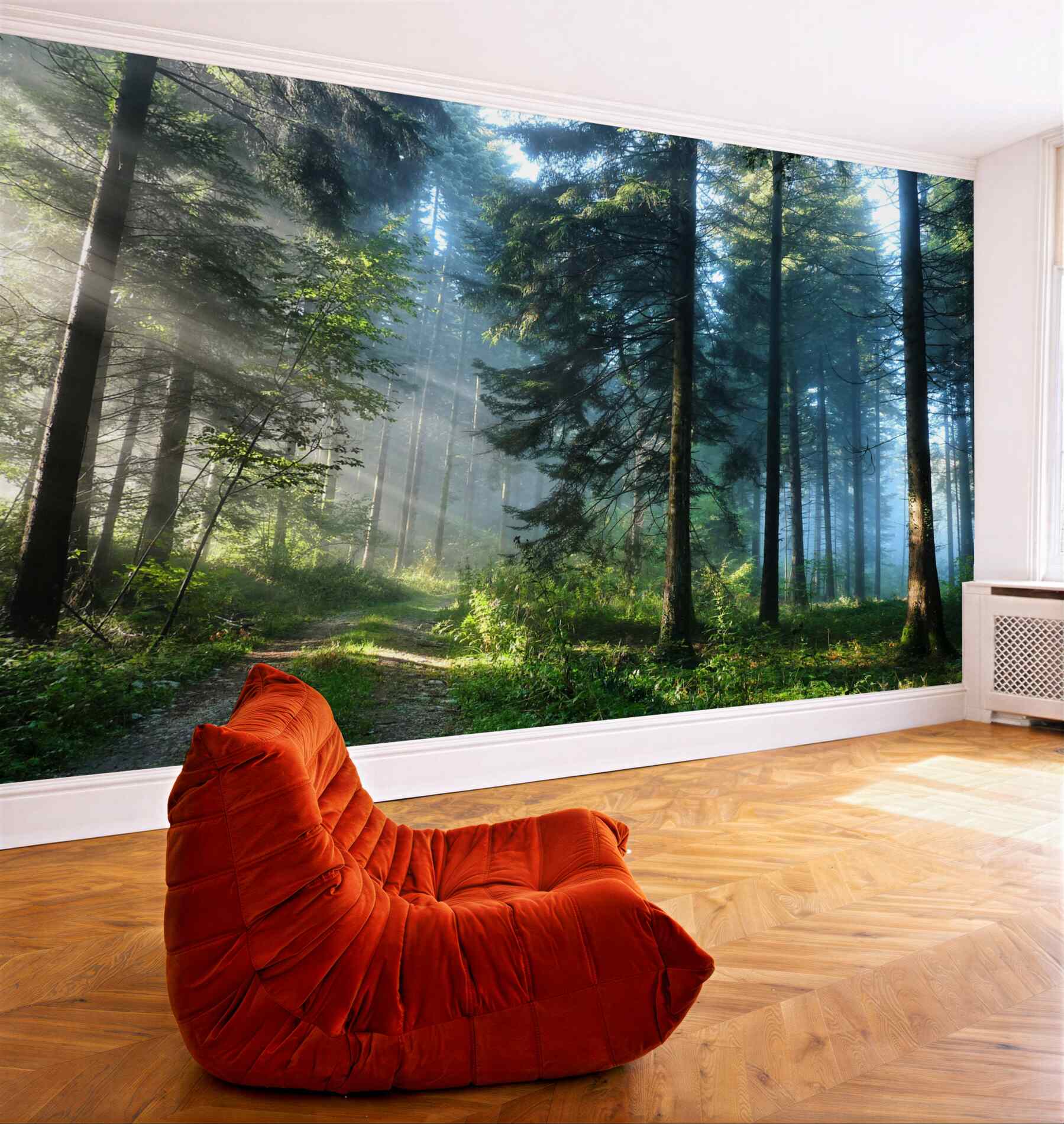 Fototapeta ścieżka w mglistym lesie?v23