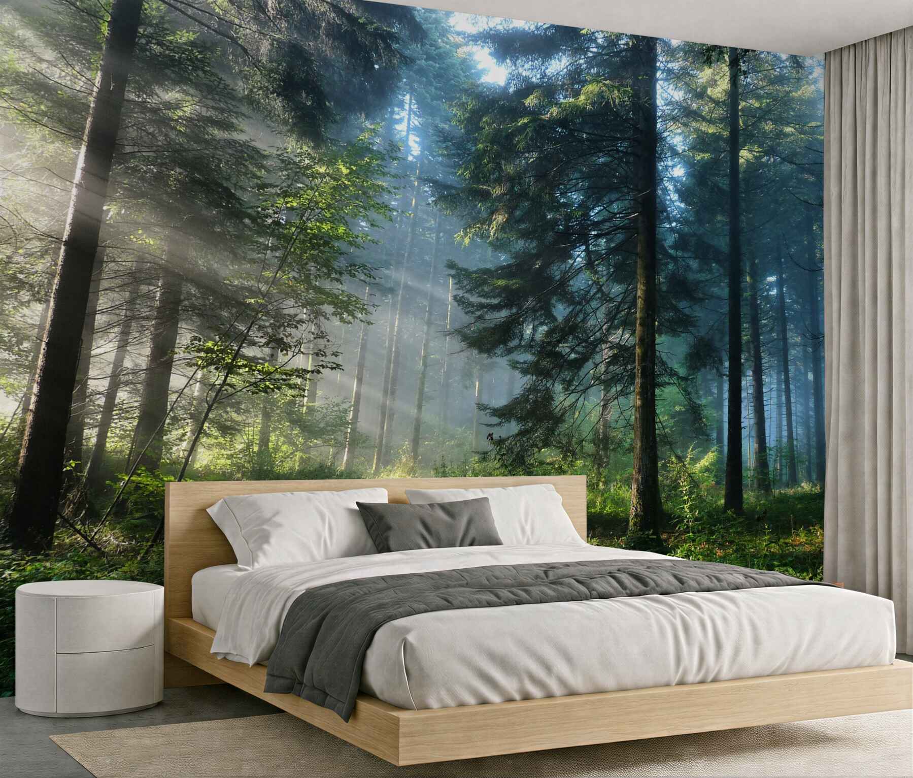 Fototapeta ścieżka w mglistym lesie?v23