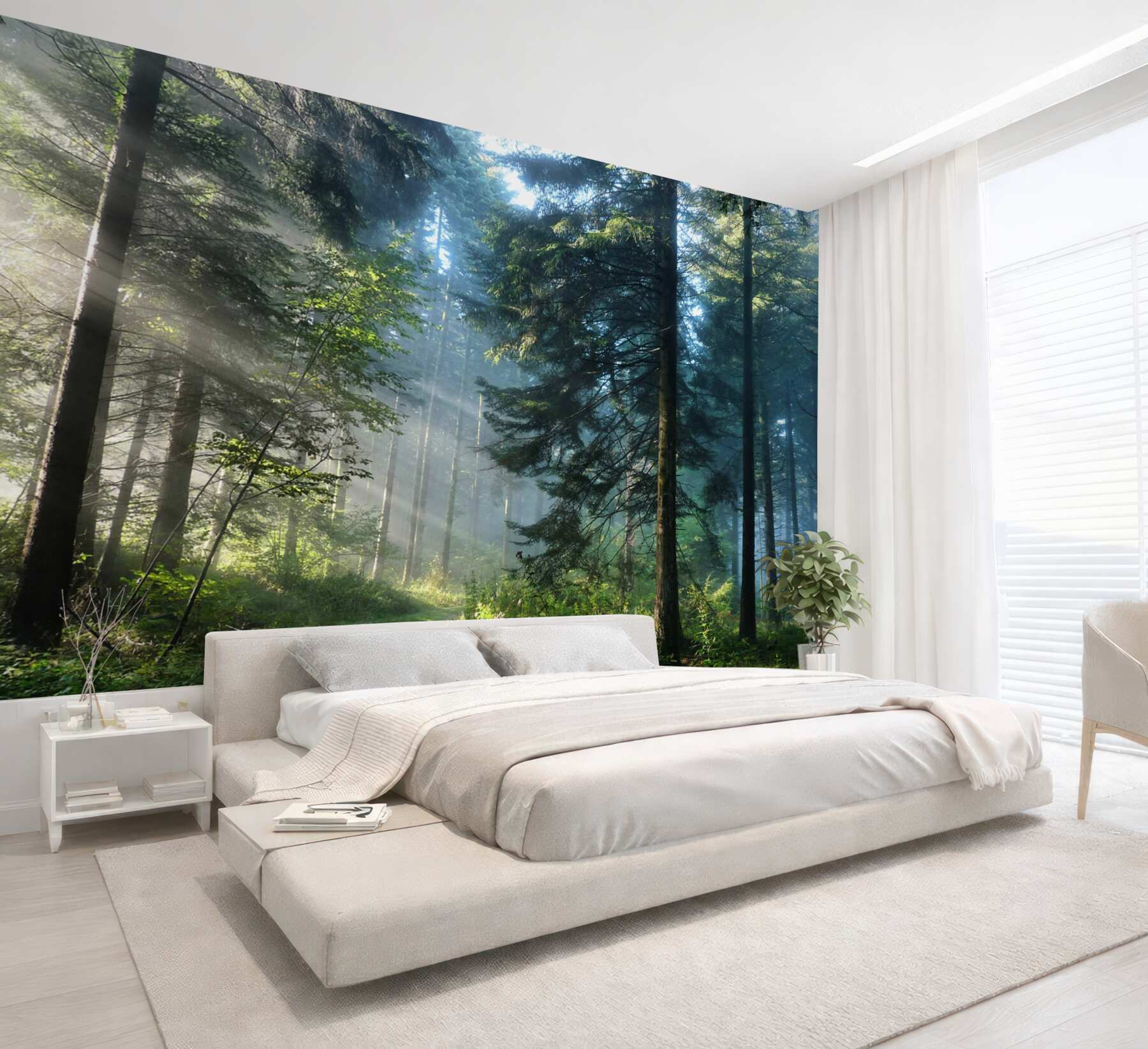 Fototapeta ścieżka w mglistym lesie?v23