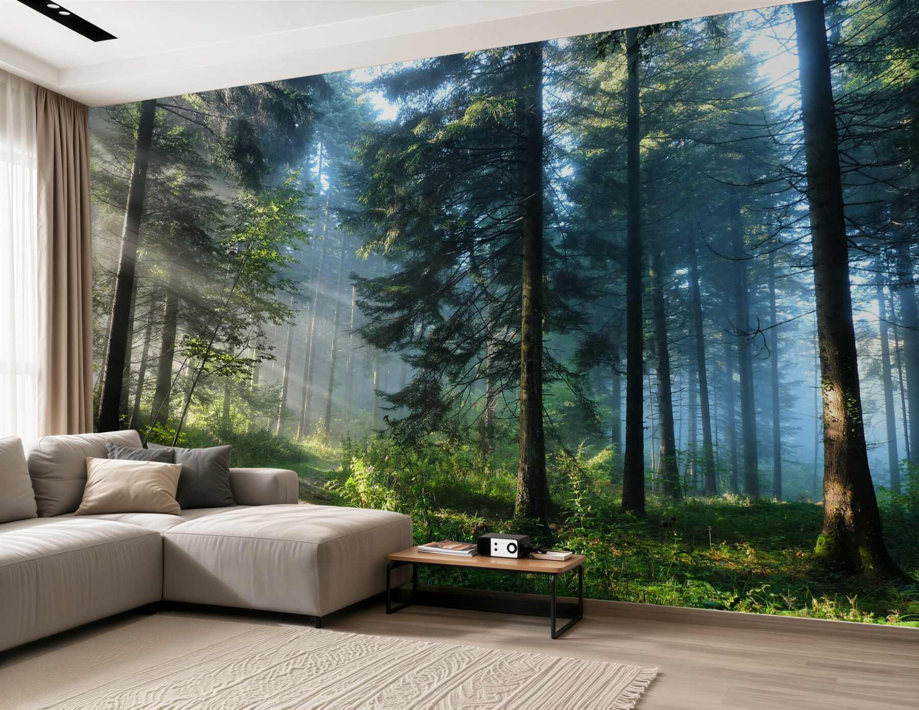 Fototapeta ścieżka w mglistym lesie?v23