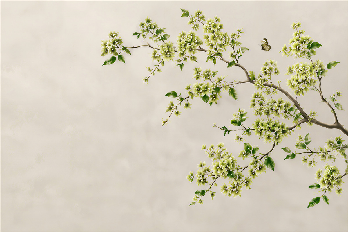 Fototapeta gałąź magnolii z gęstymi zielonymi kwiatami