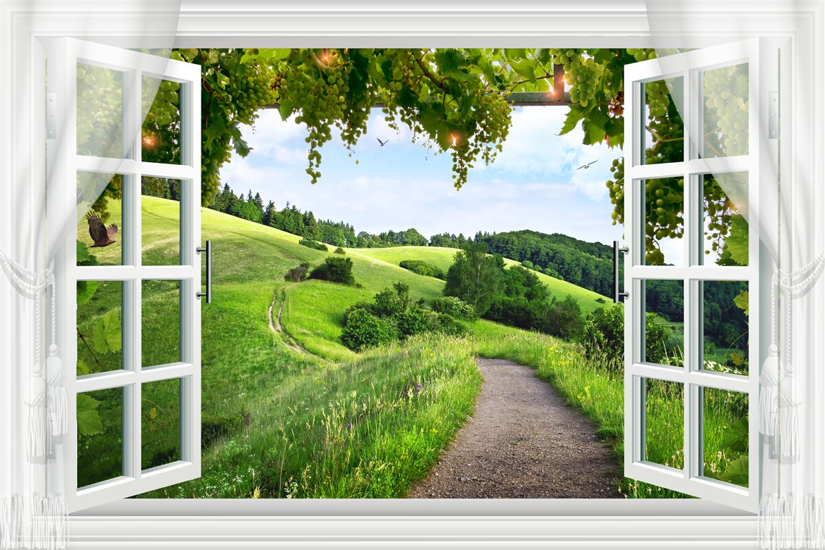 Fototapeta Natura, własność i Zielony