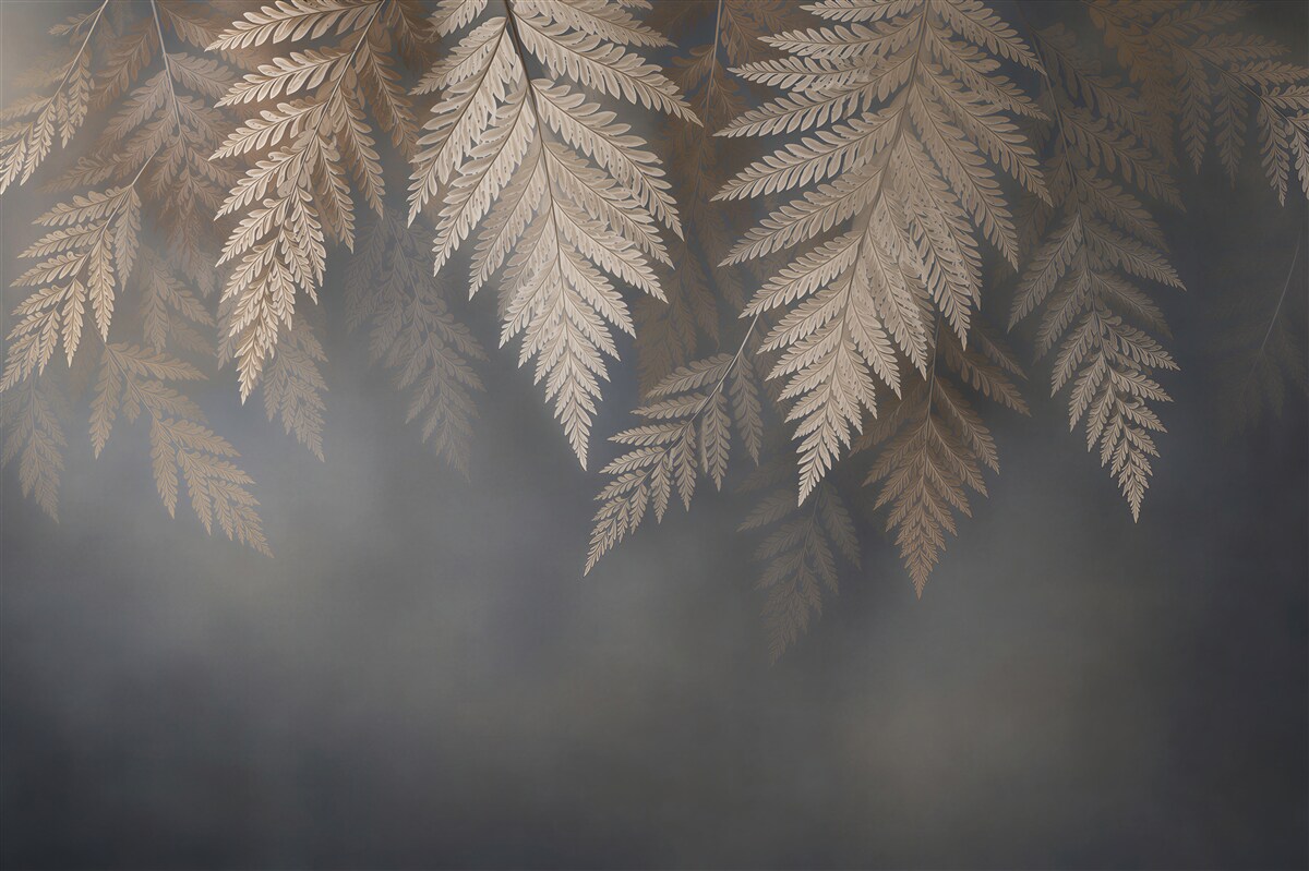 Fototapeta liście paproci
