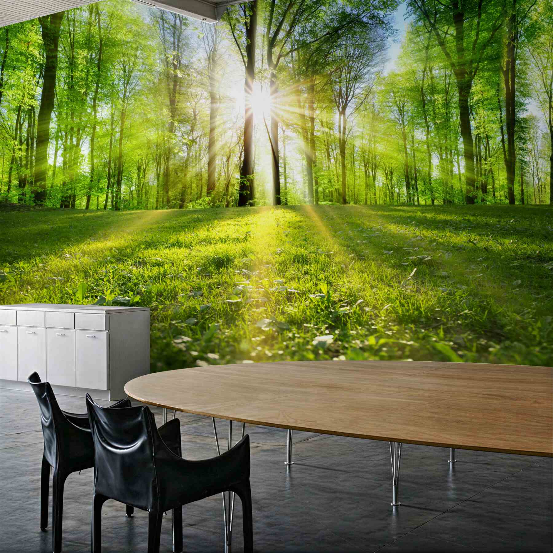 Fototapeta promienie słońca przez drzewa?v23
