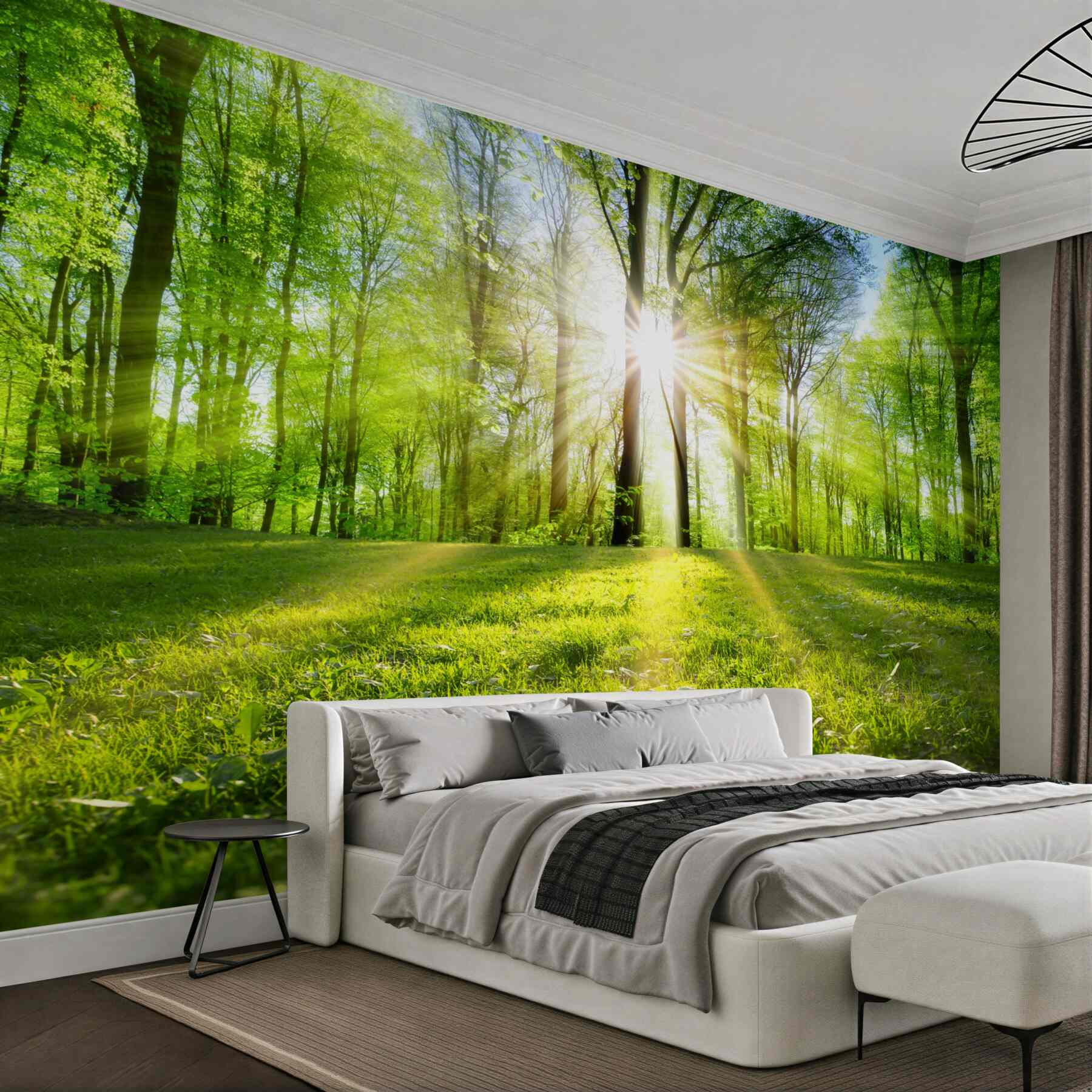 Fototapeta promienie słońca przez drzewa?v23