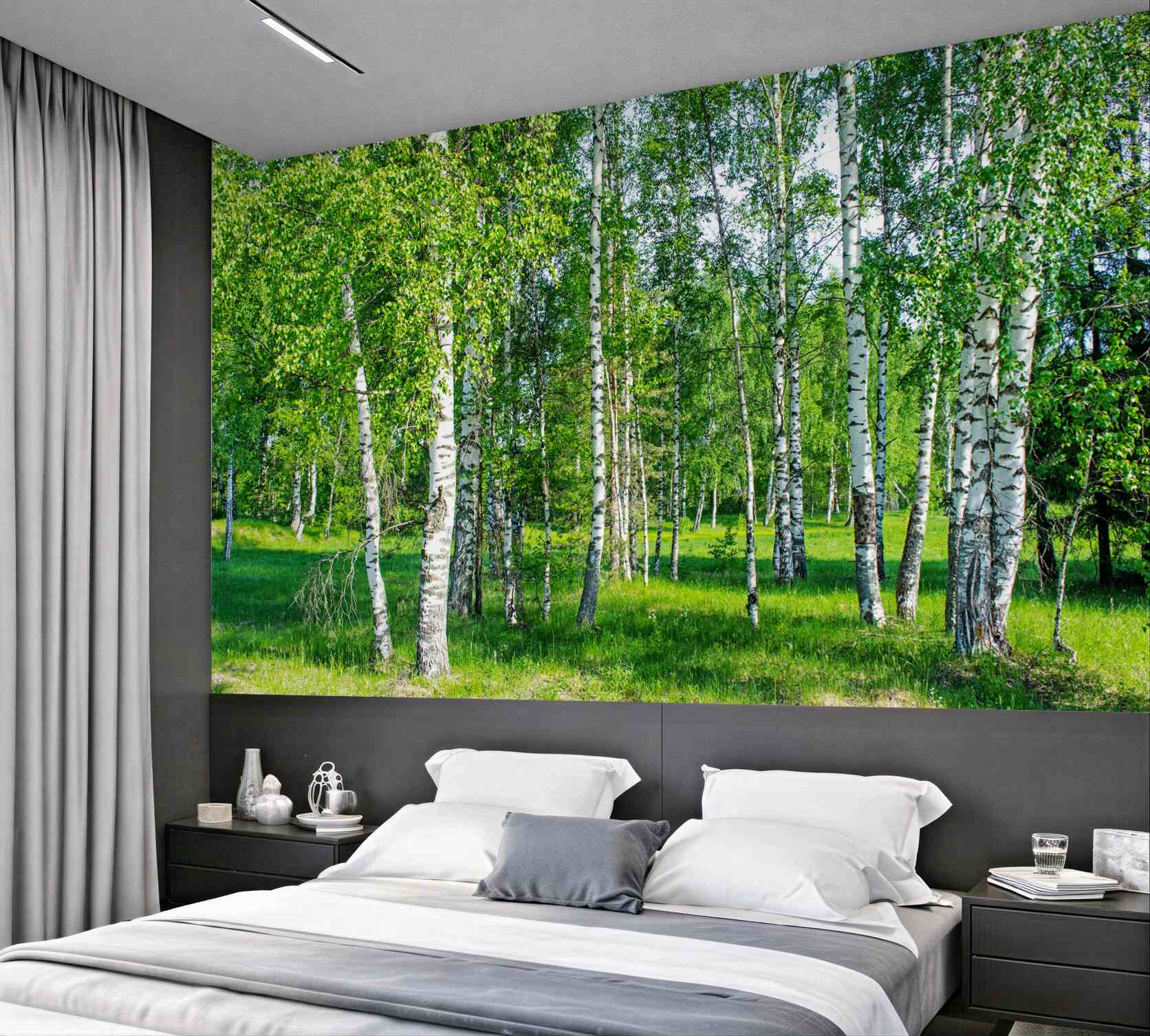 Fototapeta zielone brzozy w letnim gaju?v23