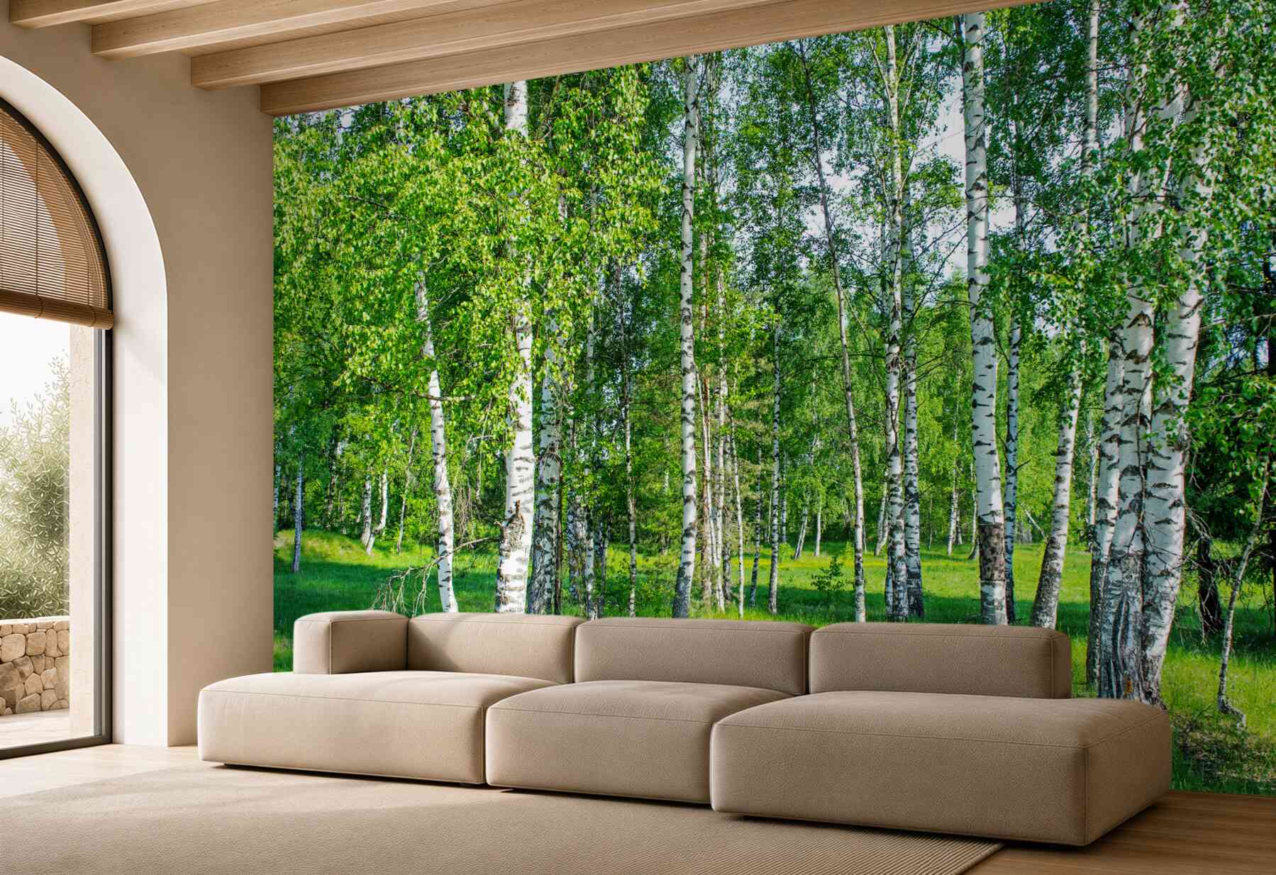 Fototapeta zielone brzozy w letnim gaju?v23