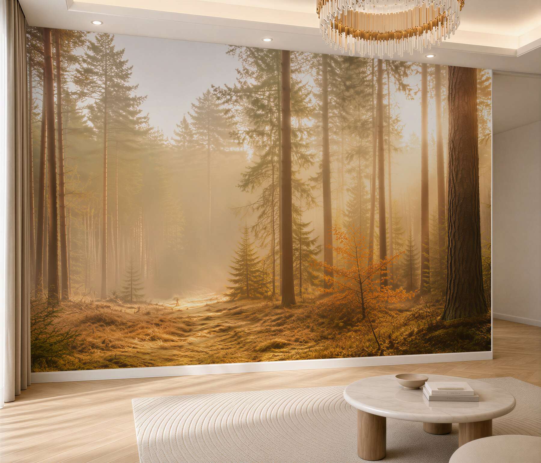 Fototapeta jesienny las i promienie słońca?v23