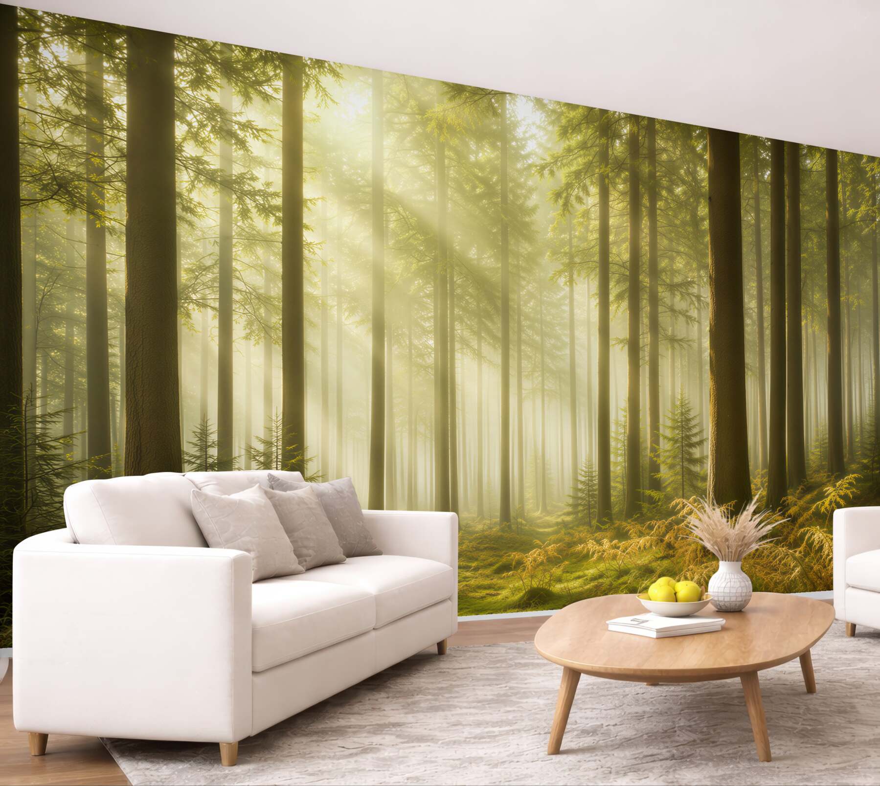 Fototapeta las oświetlają promienie słońca?v23
