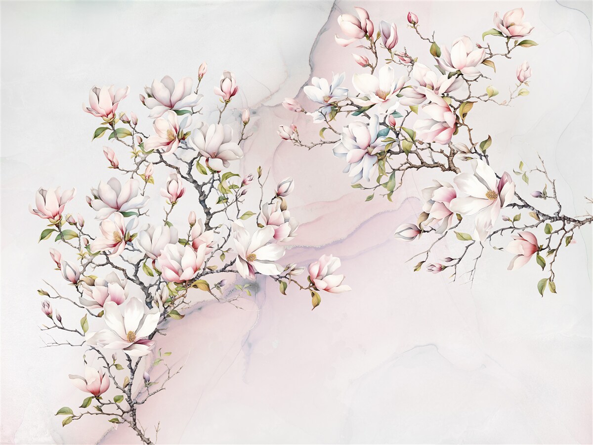 Fototapeta Piękne białe i różowe gałęzie magnolii